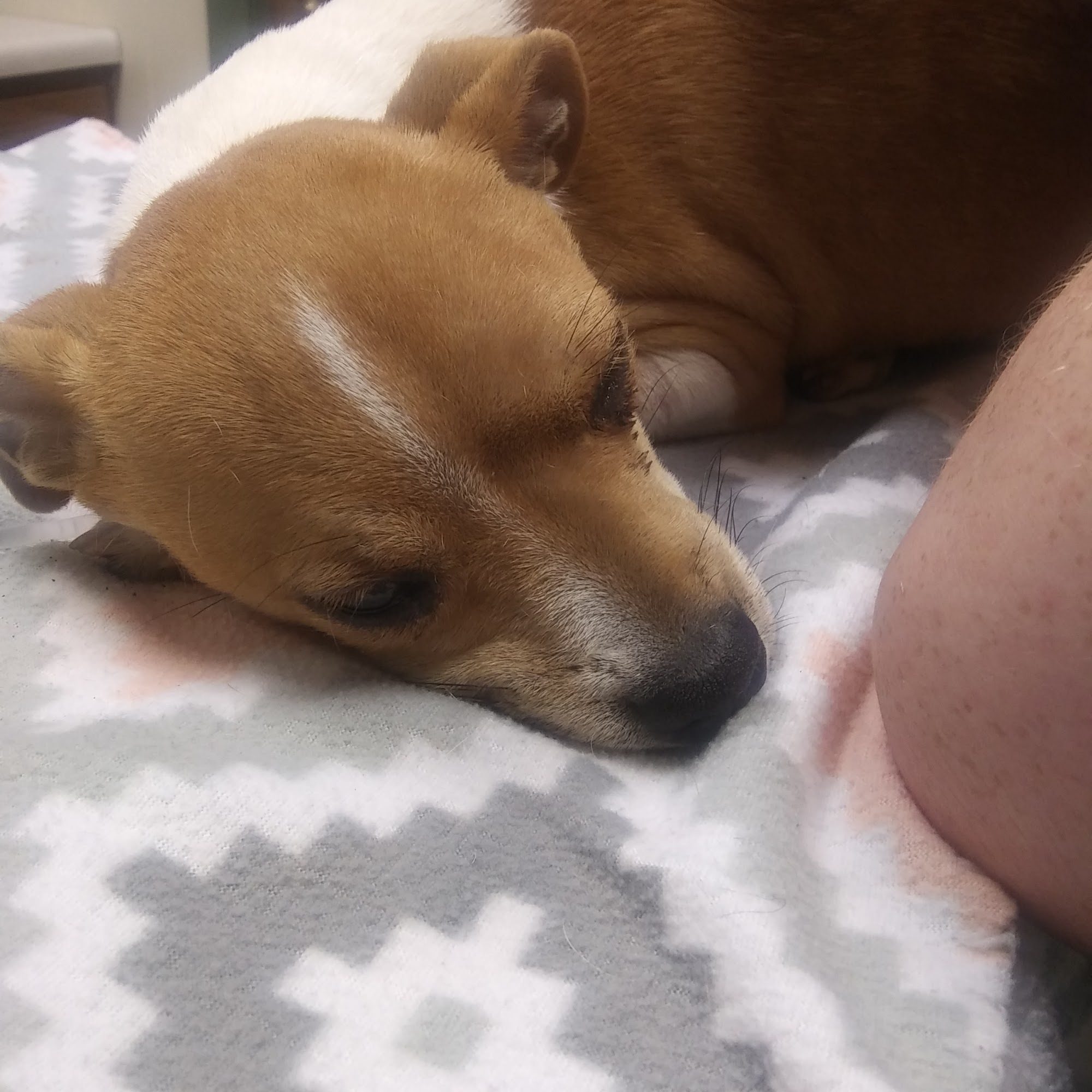 Baker Candie M DVM Huntington