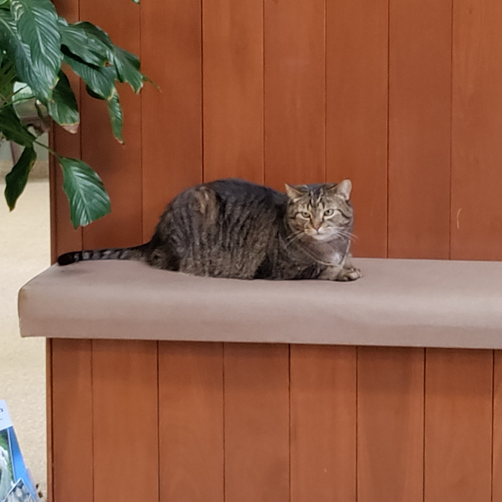 MERRITTS CREEK VETERINARY CENTER Huntington