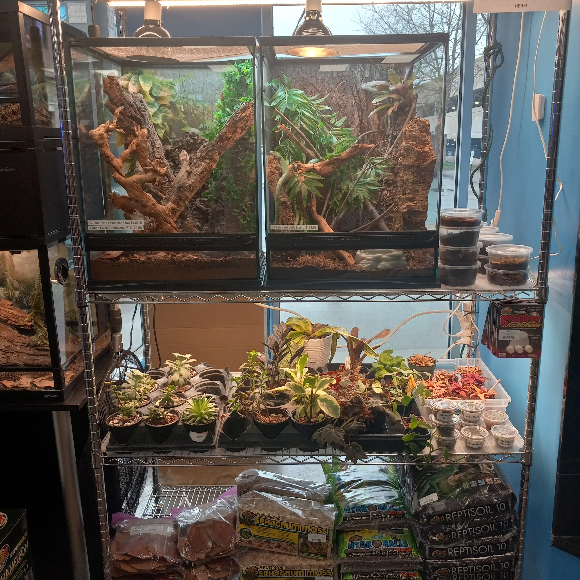 Pullman Pets Huntington