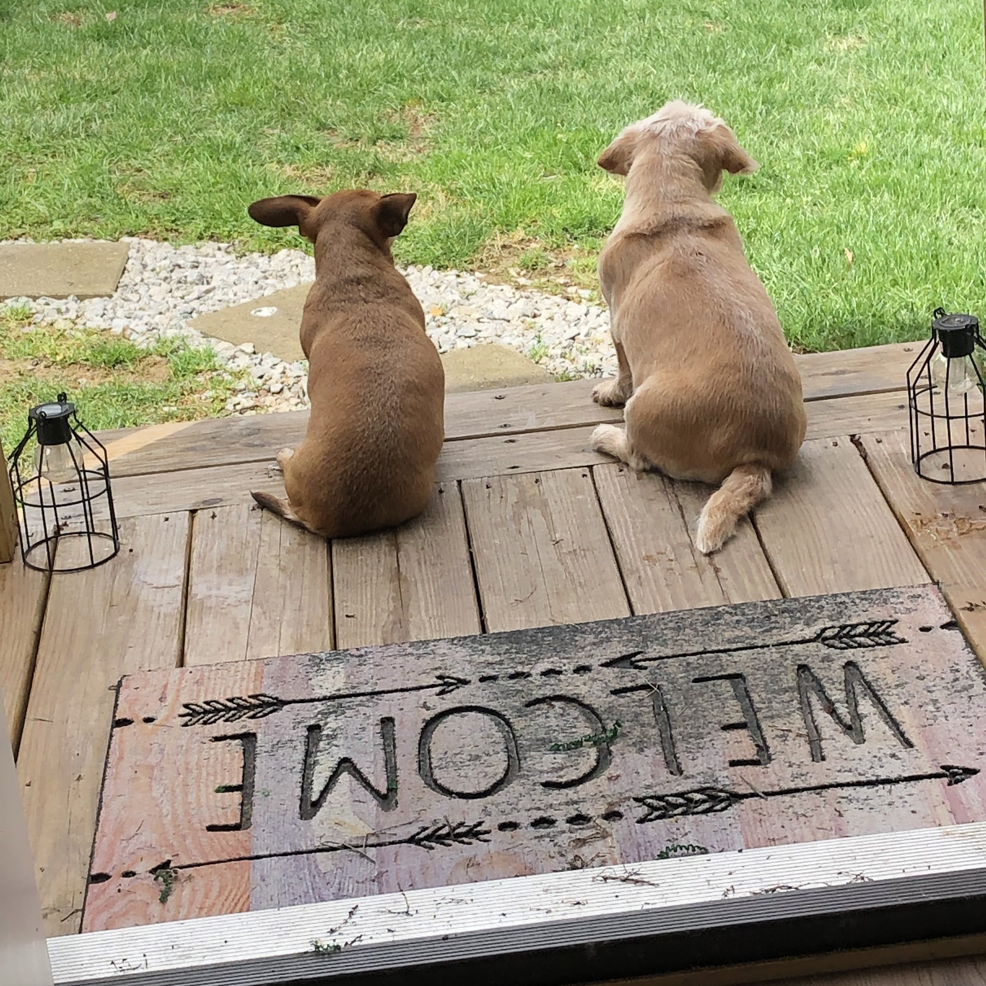 Valley Veterinarians Hurricane