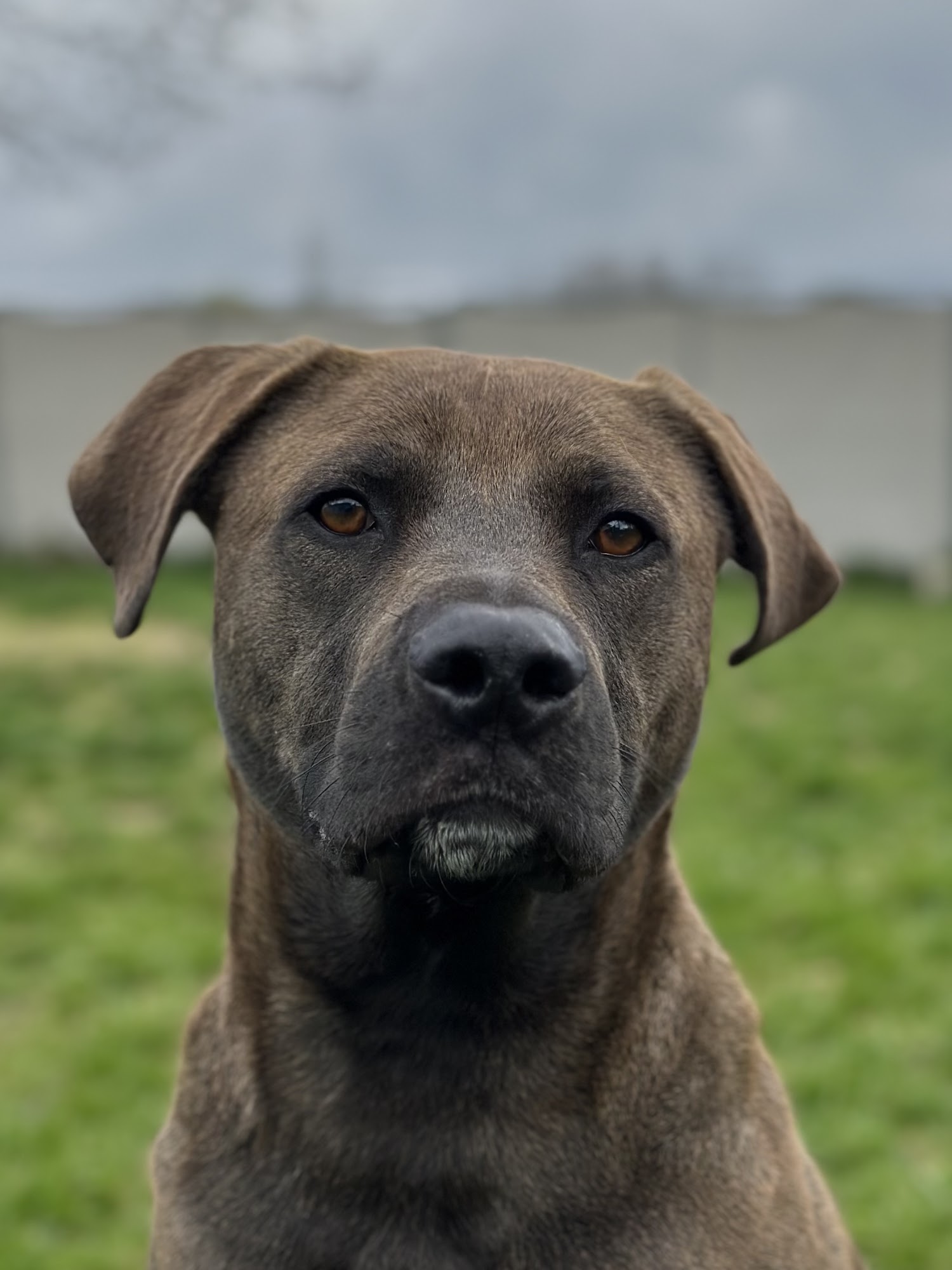 Greensburg Bed & Biscuit Martinsburg