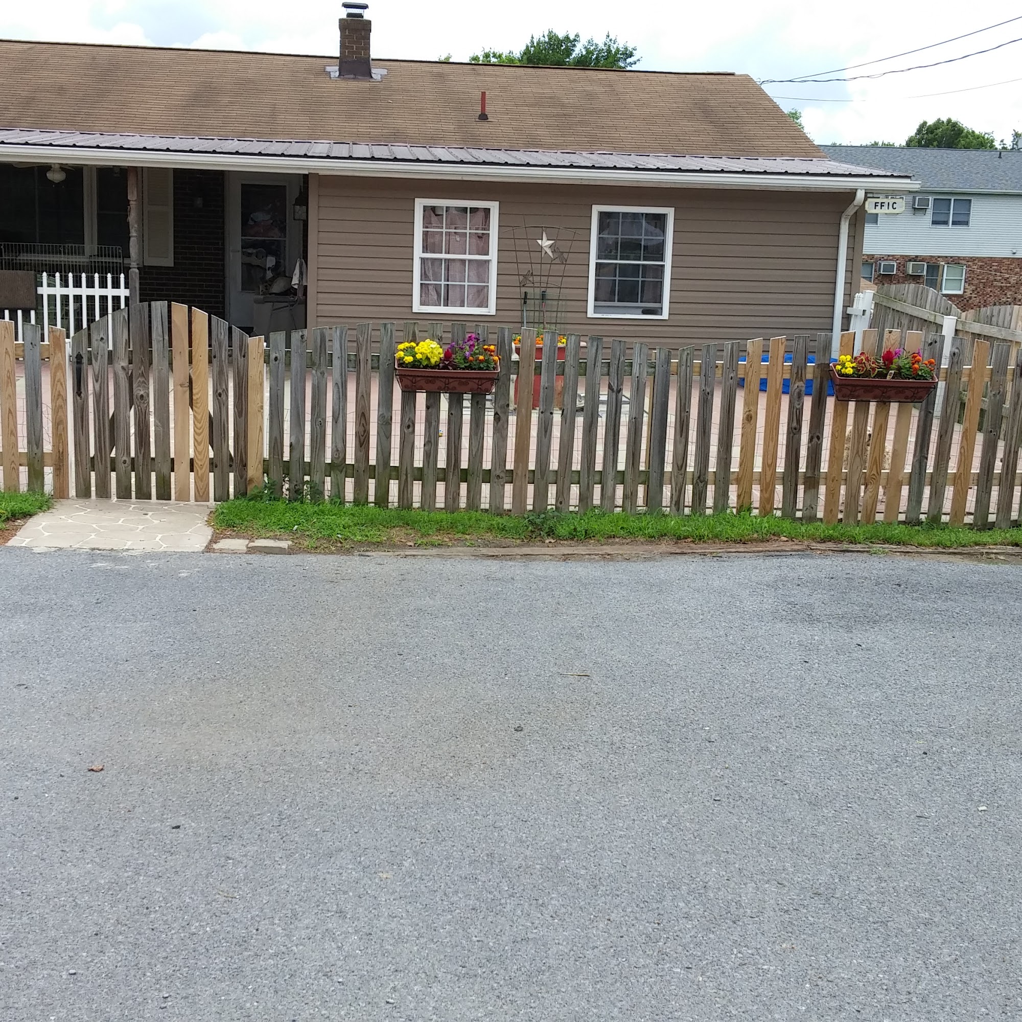 Mountaineer Mutts not Mountaineers for Mutts Martinsburg