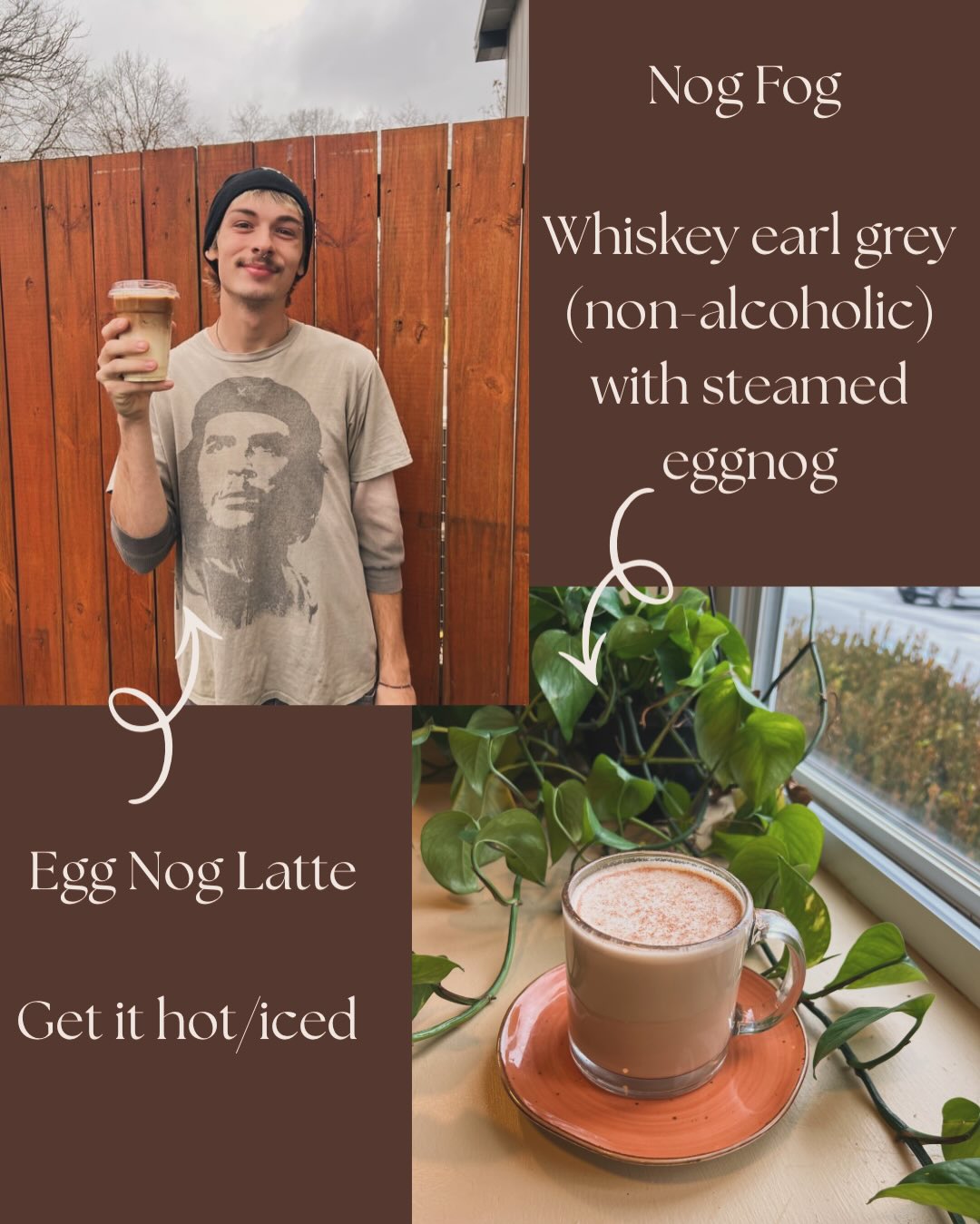 Terra Café Morgantown