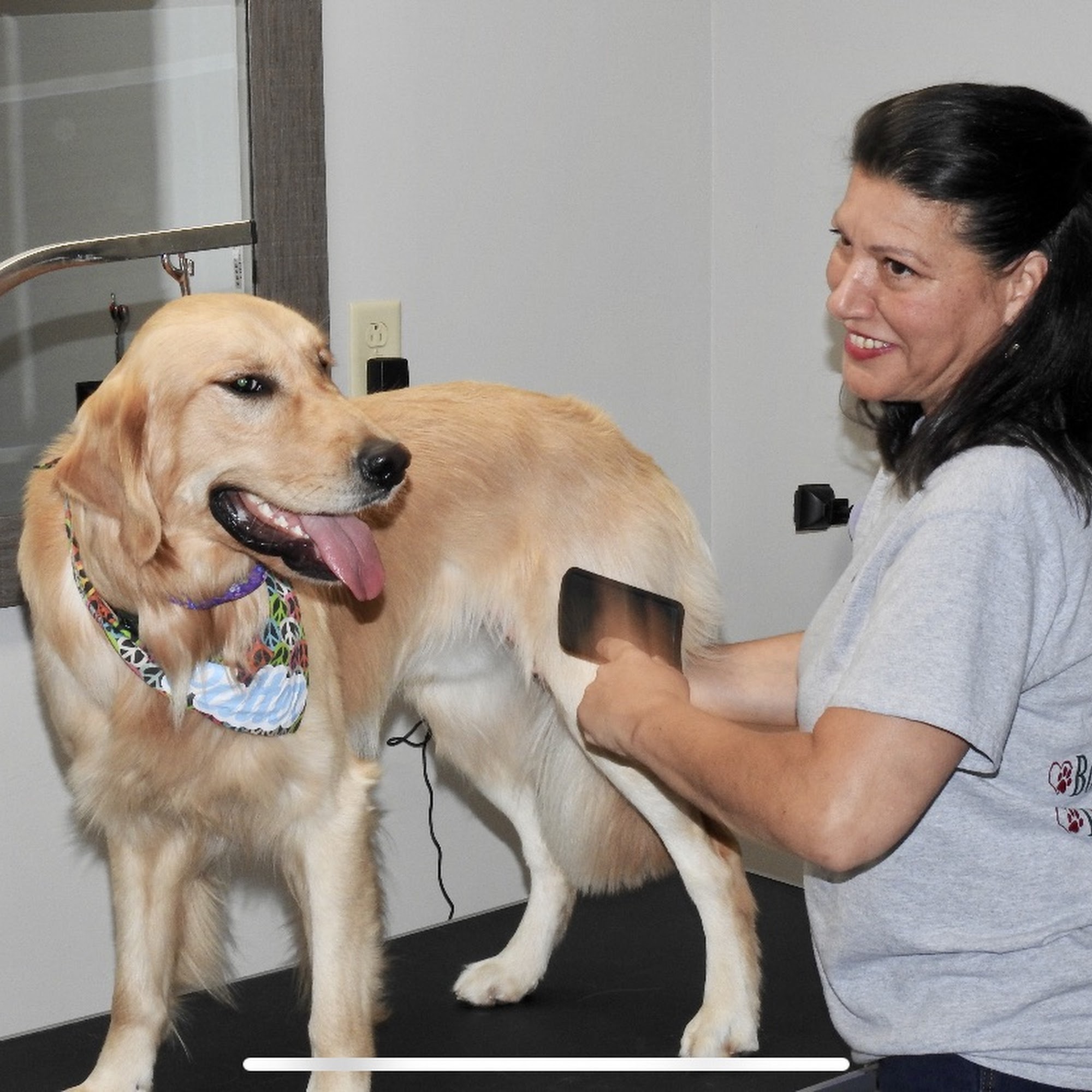 Bakers Farm Kennel & Grooming Morgantown