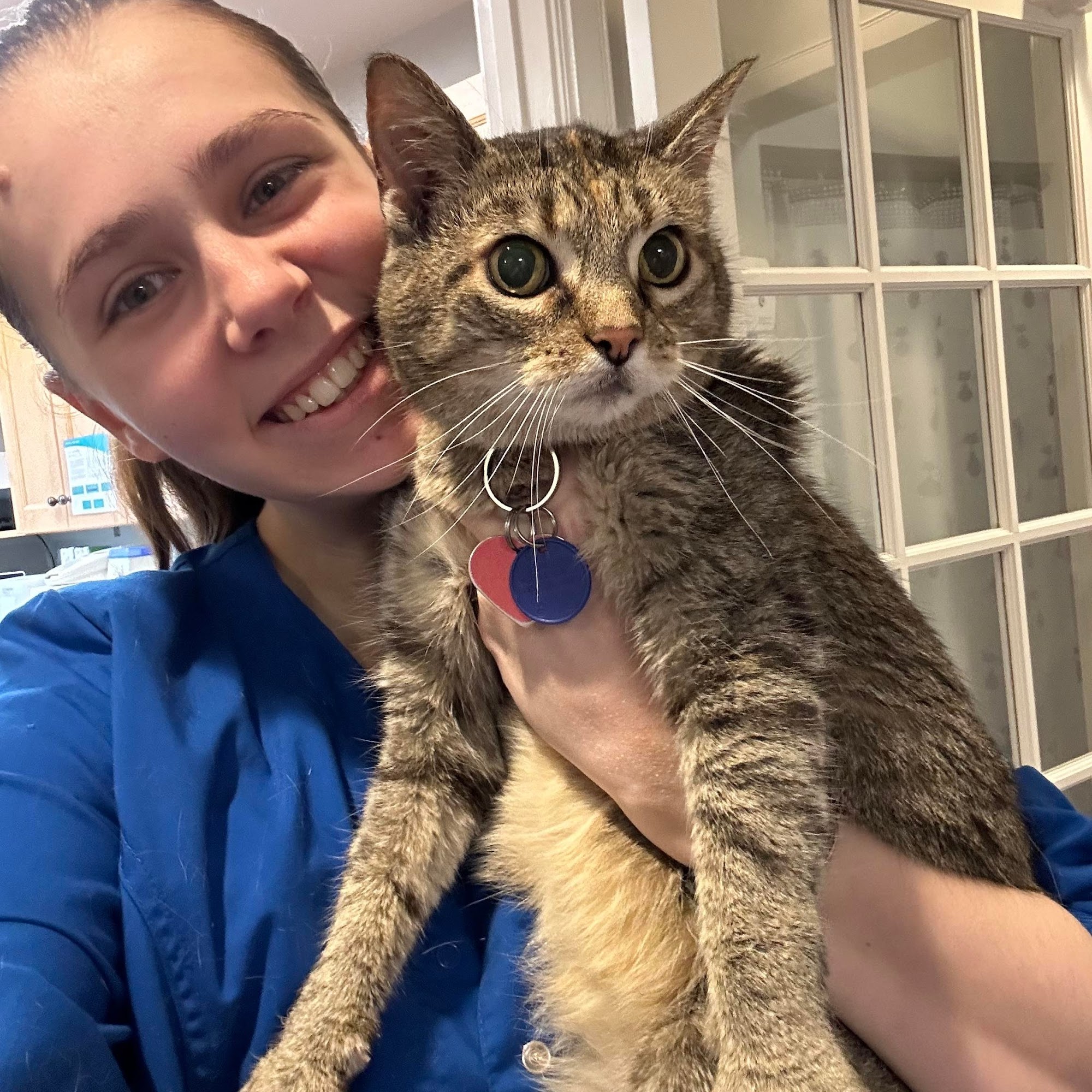 Feline Veterinary Care of Morgantown Morgantown