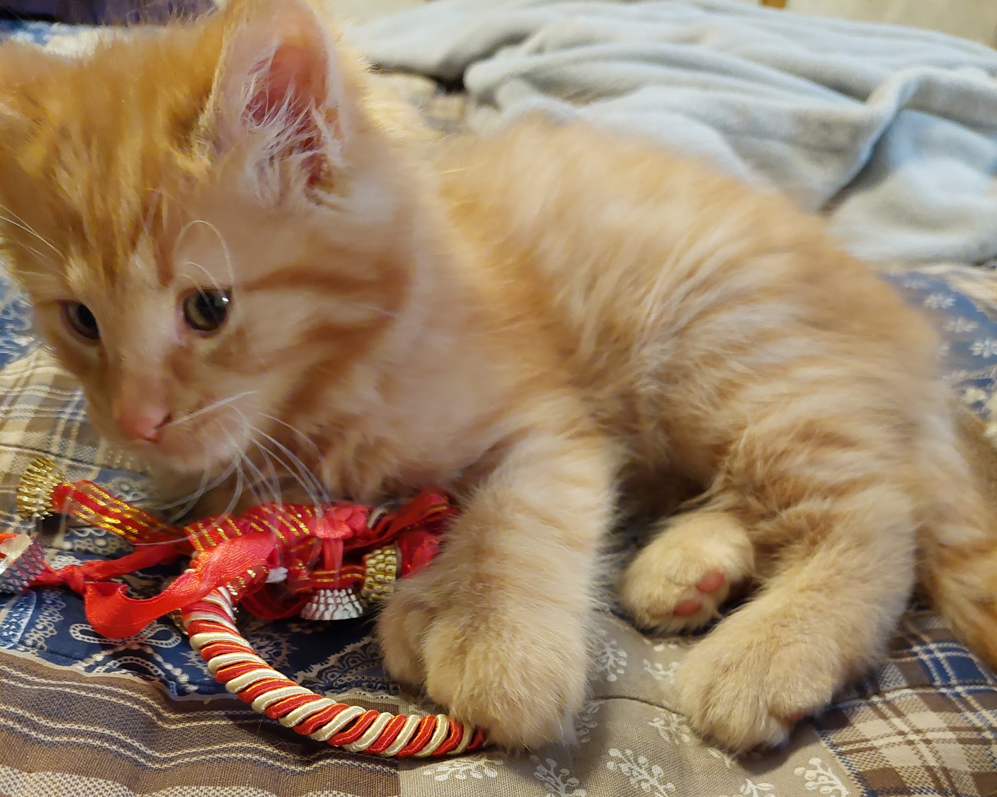 The Spot Clinic Parkersburg