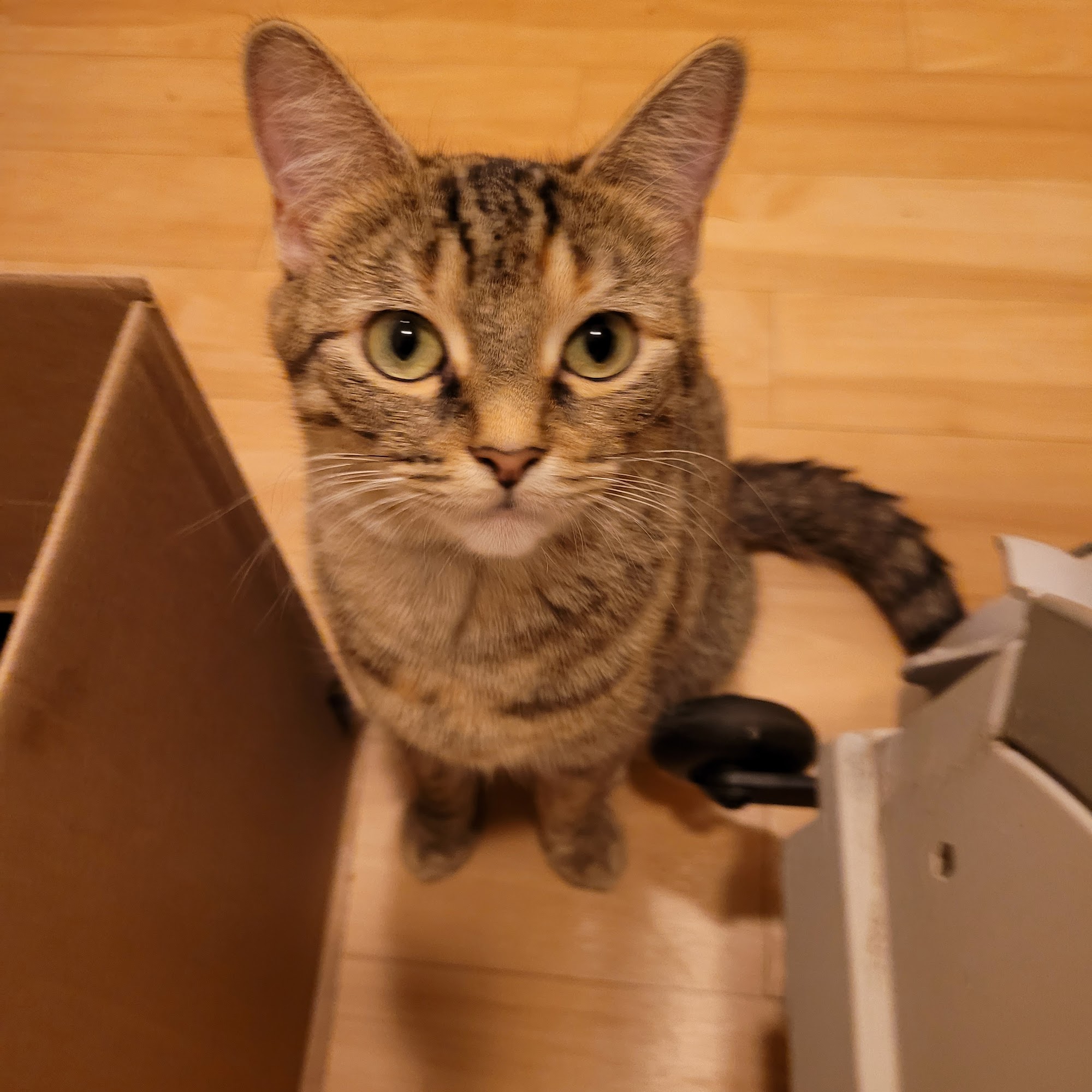 The Spot Clinic Parkersburg