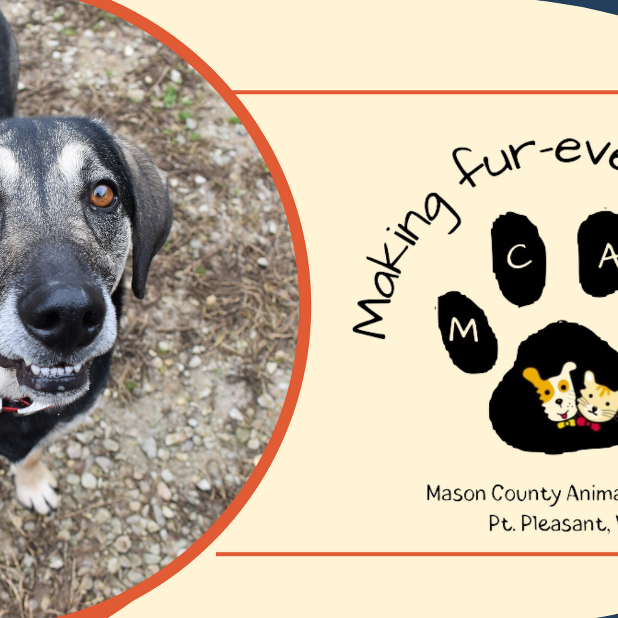 Mason County Animal Shelter Point Pleasant