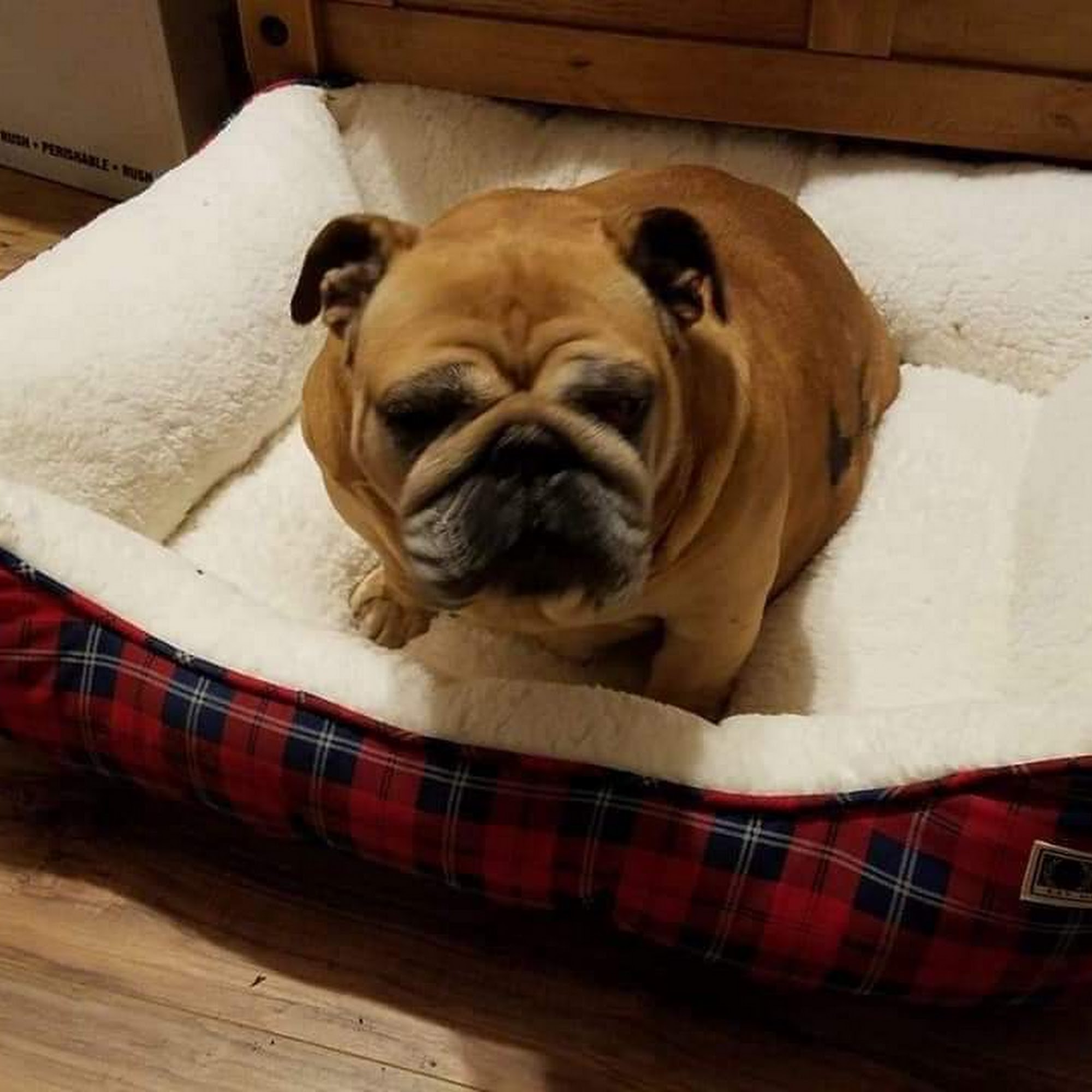 Animal Care Center Princeton