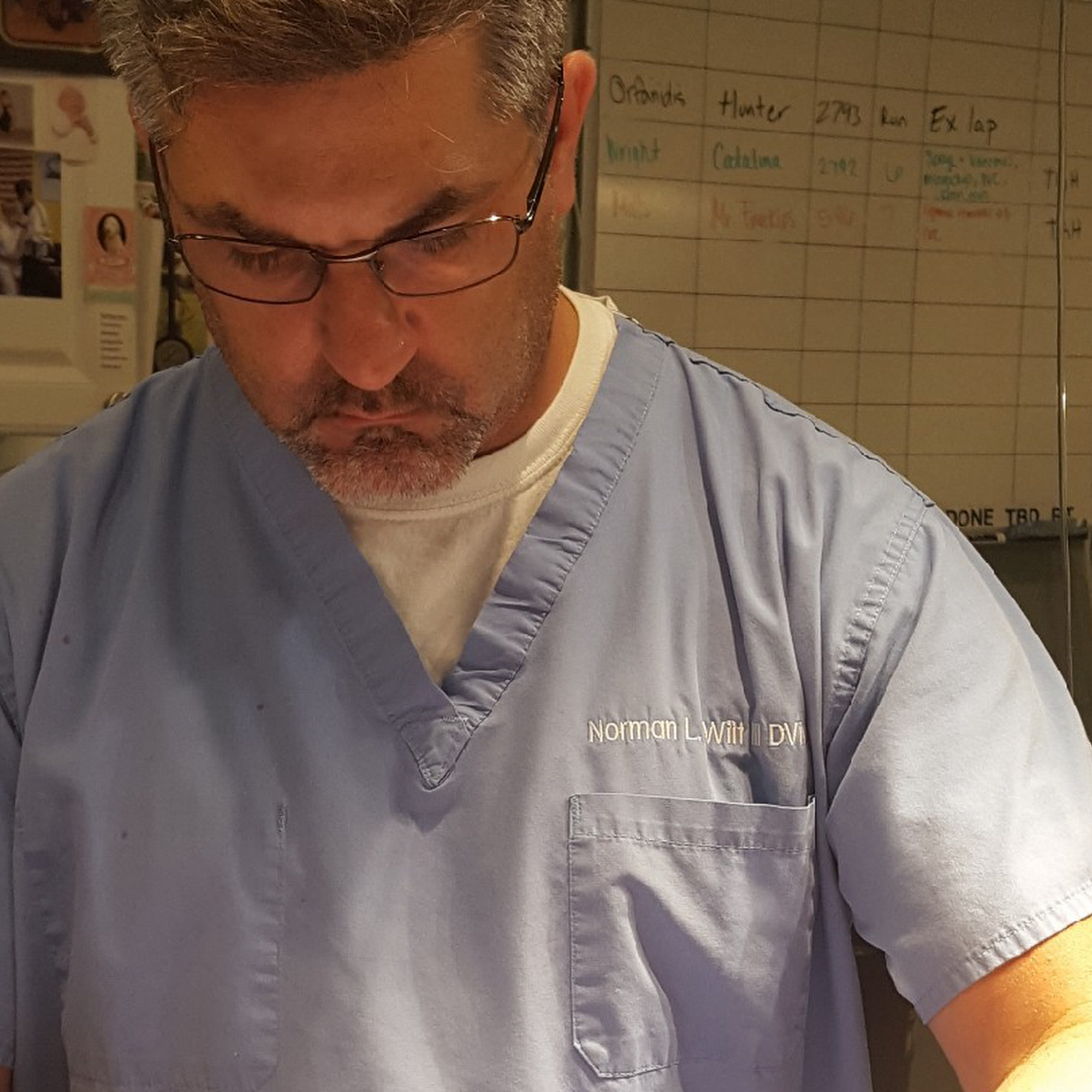 Ranson Animal Hospital Ranson