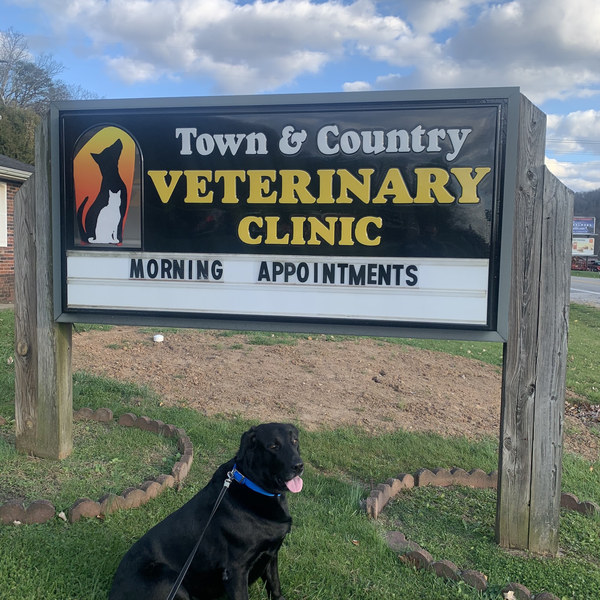 Town & Country Veterinary Clinic Ripley
