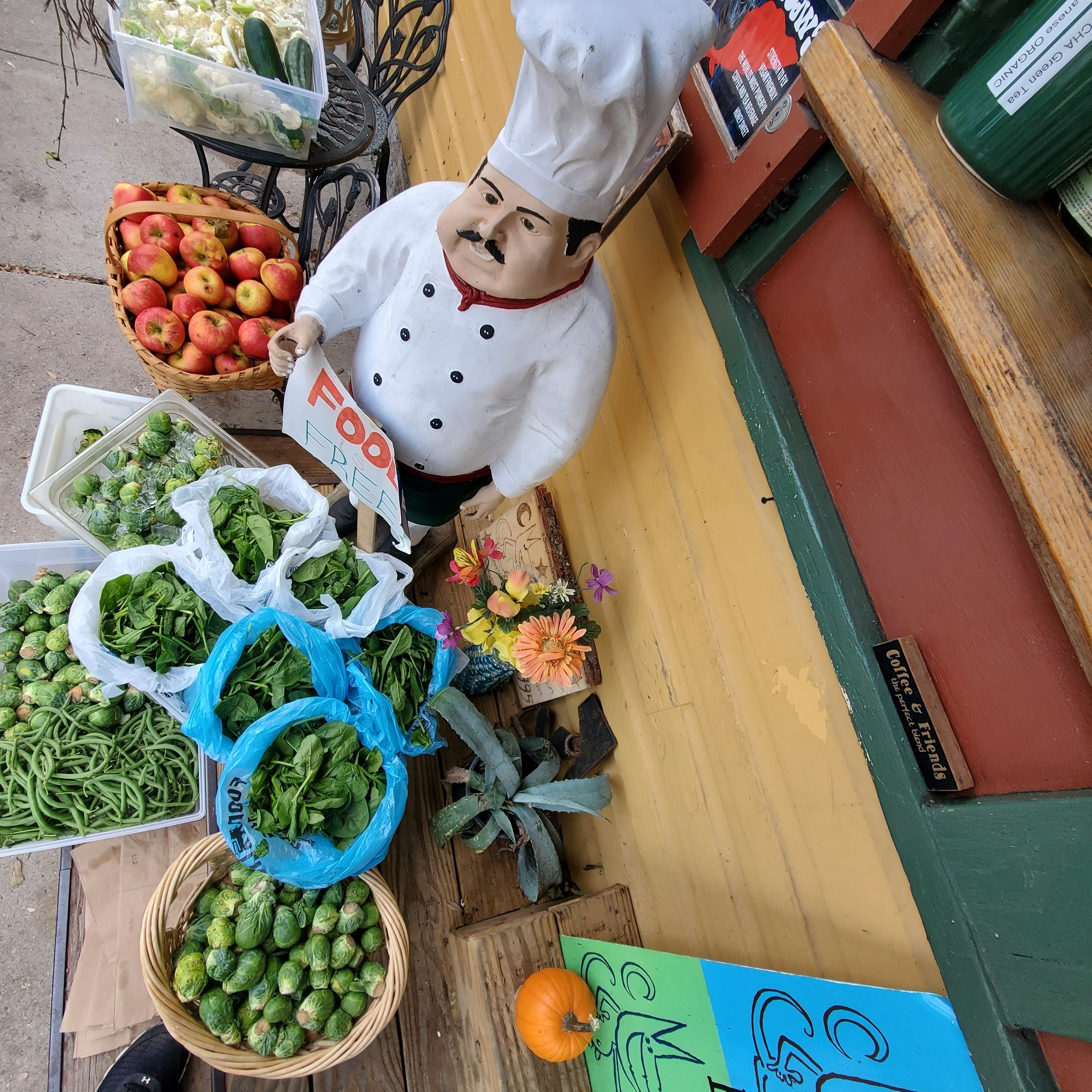 Lost Dog Coffee Fine Arts Drink Emporium Shepherdstown