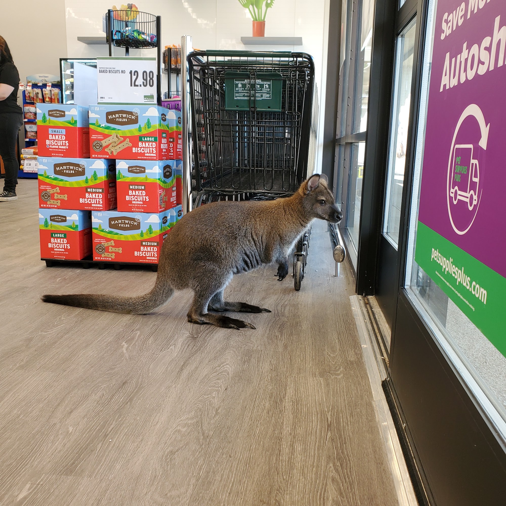 Pet Supplies Plus St. Albans St. Albans