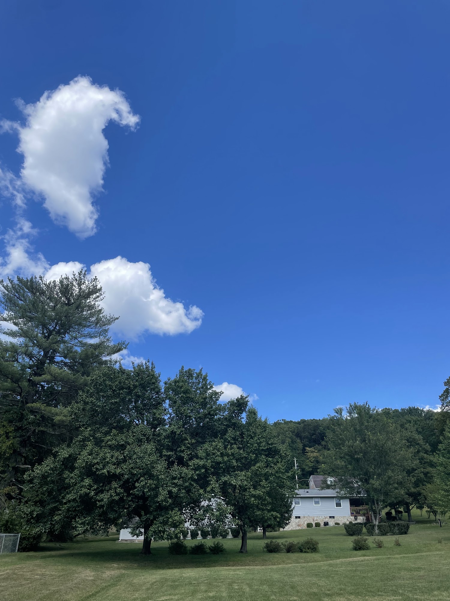 Stonewood Storage LLC Stonewood