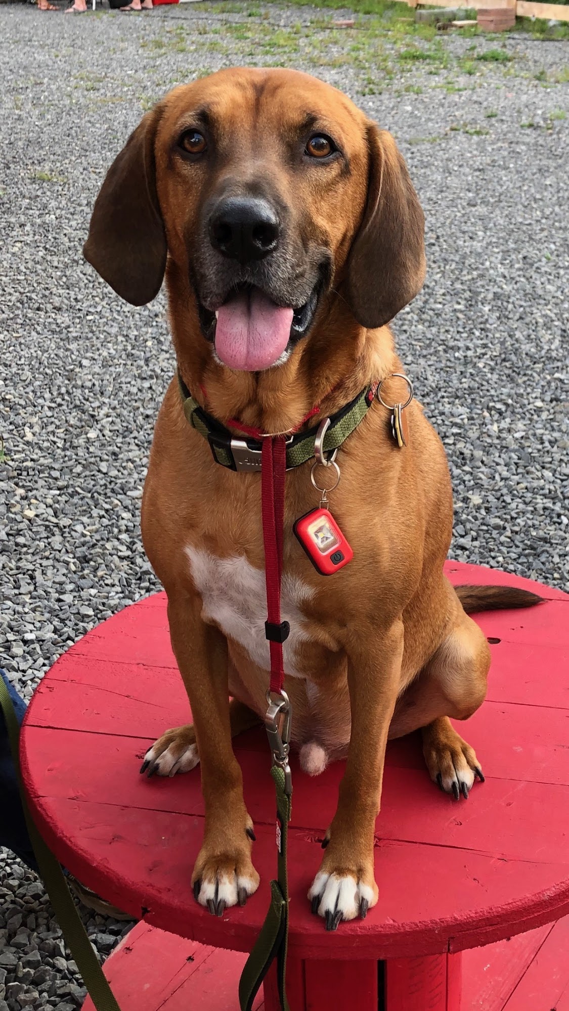 High Ground Brewing Terra Alta