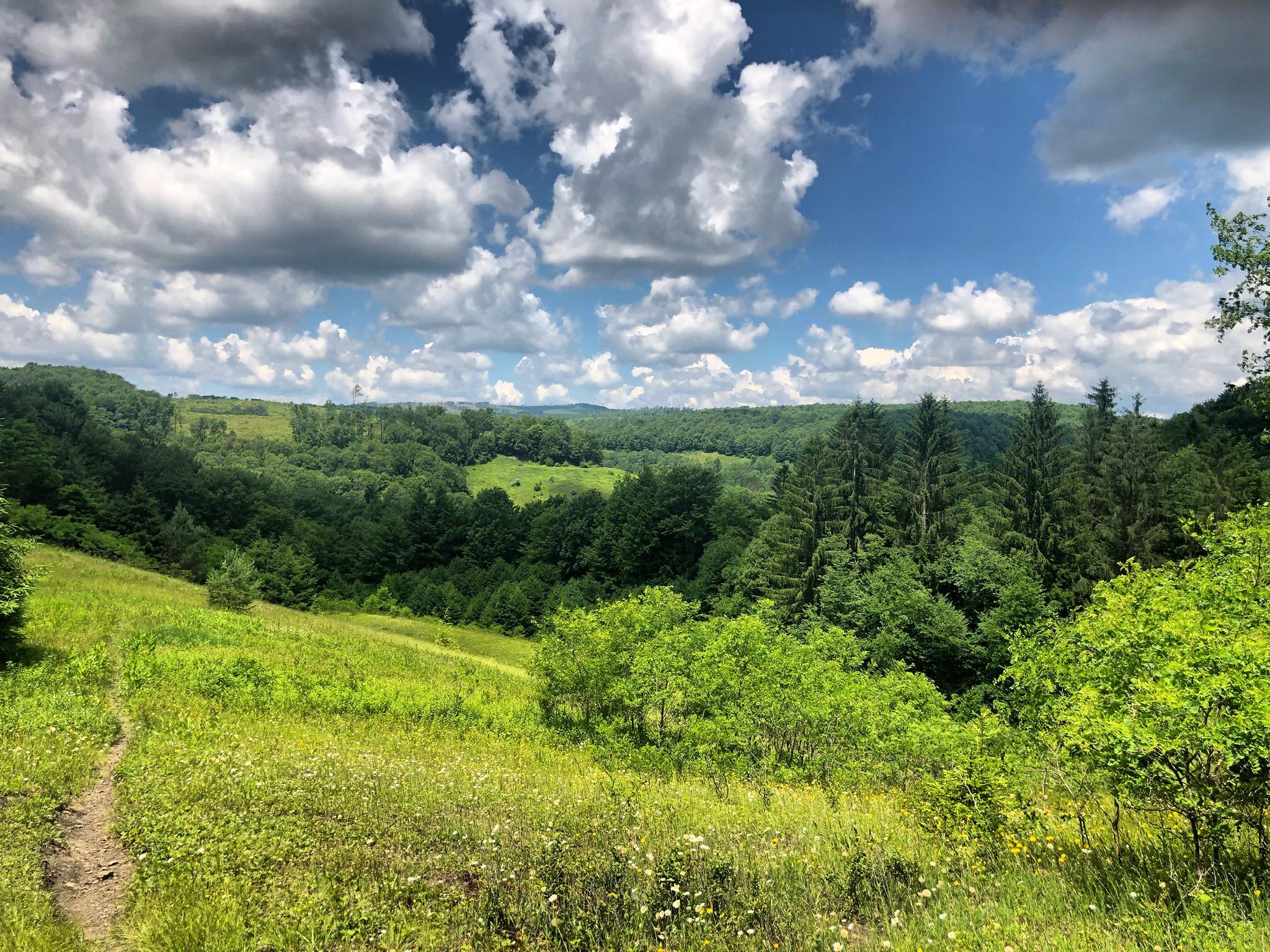 Mountain Sky Massage 541 Spruce St, Thomas West Virginia 26292