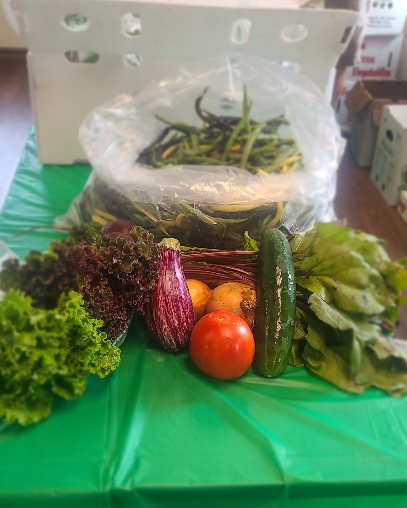 Monroe Health Center