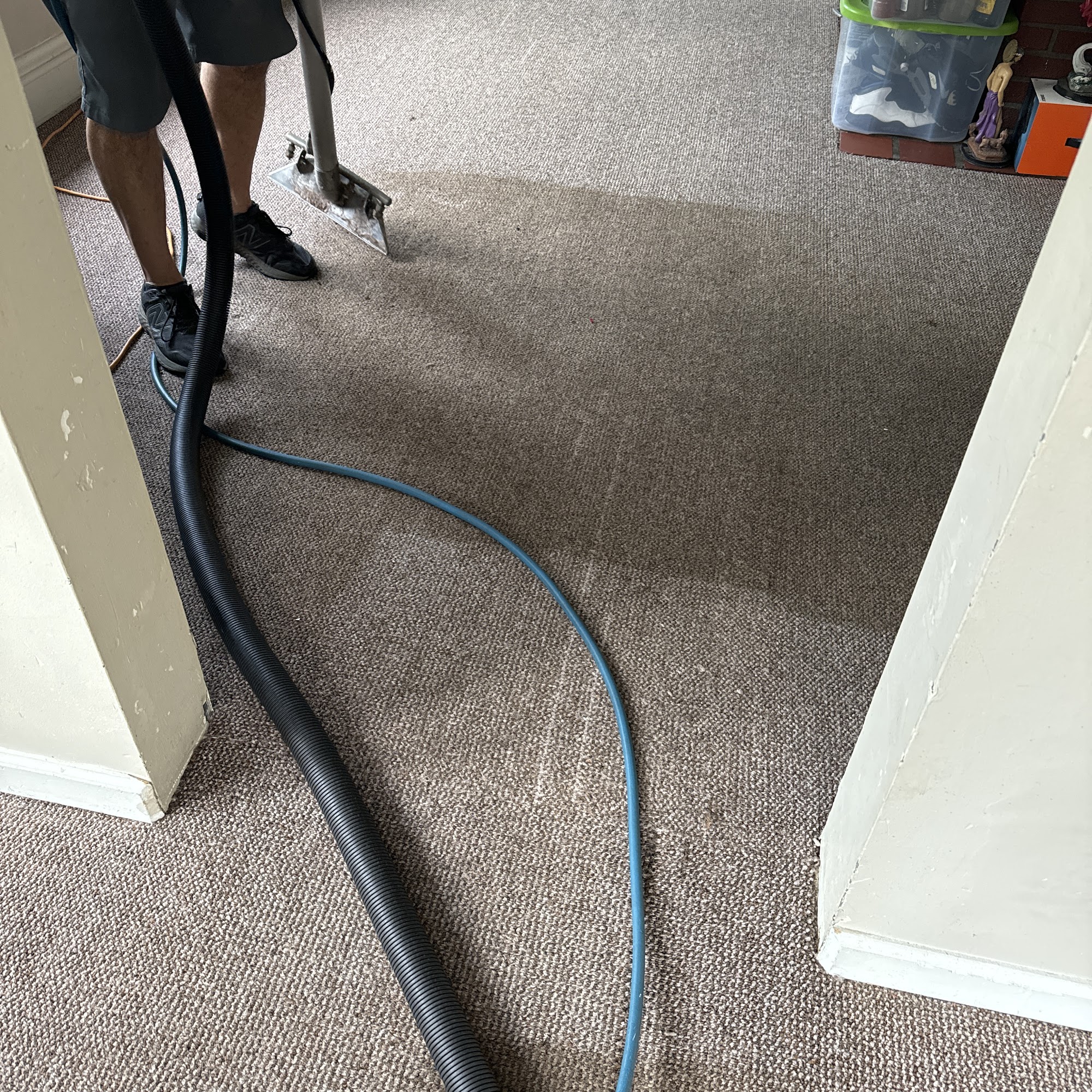 Big Orange Carpet & Upholstery