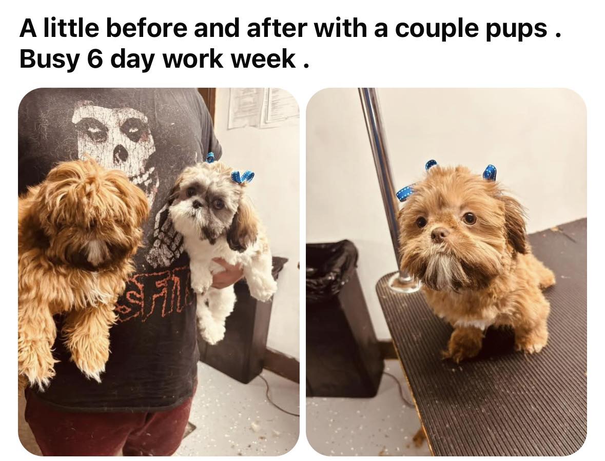 Bow-Wow Boutique Wheeling