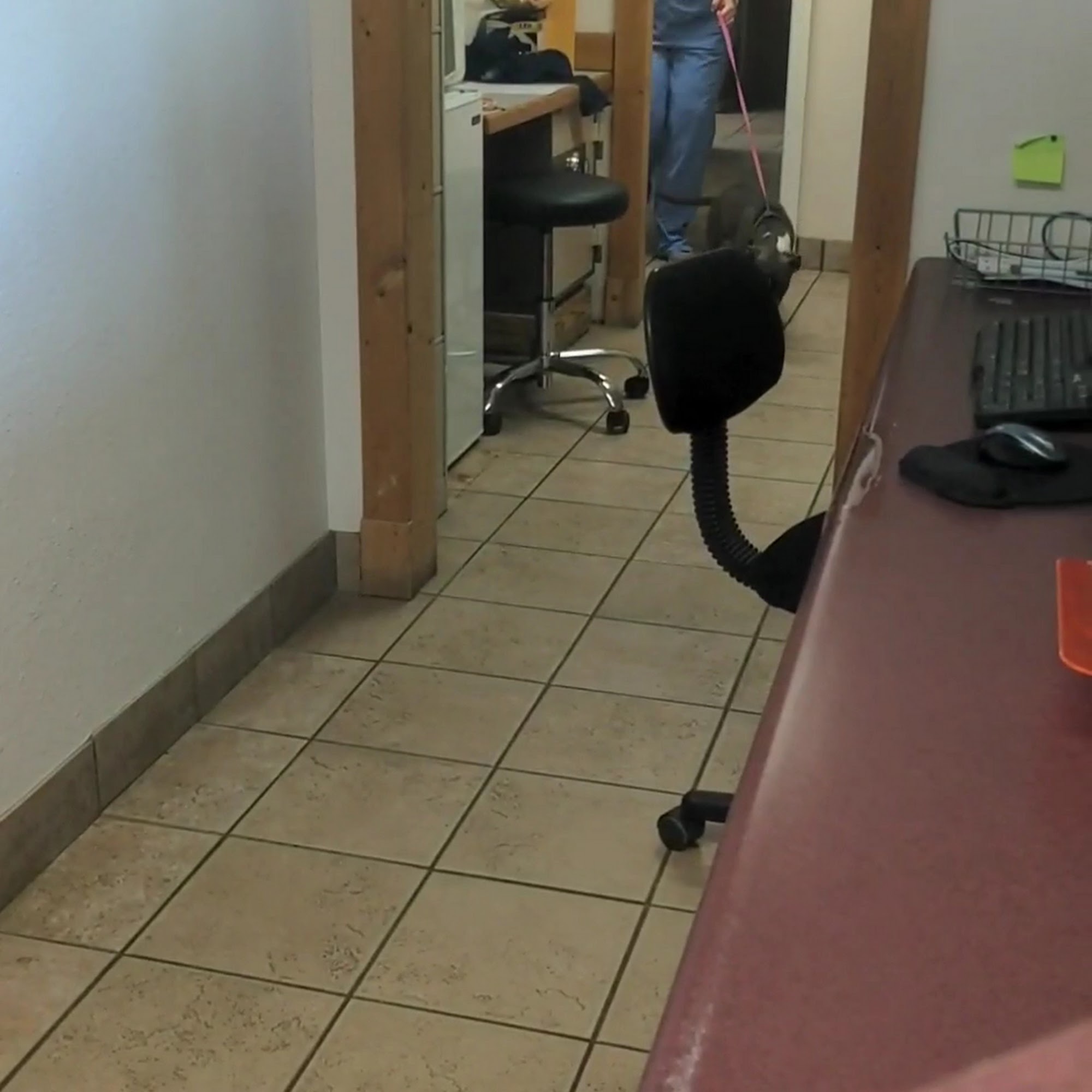 Ark Animal Hospital Casper