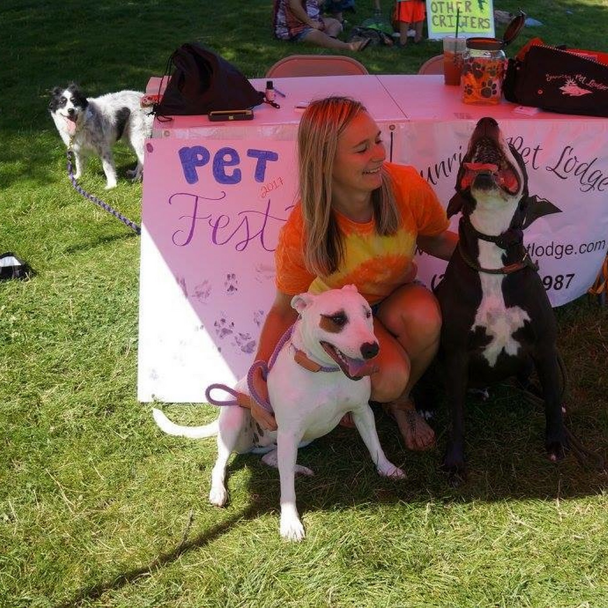 Sunrise Pet Lodge Casper