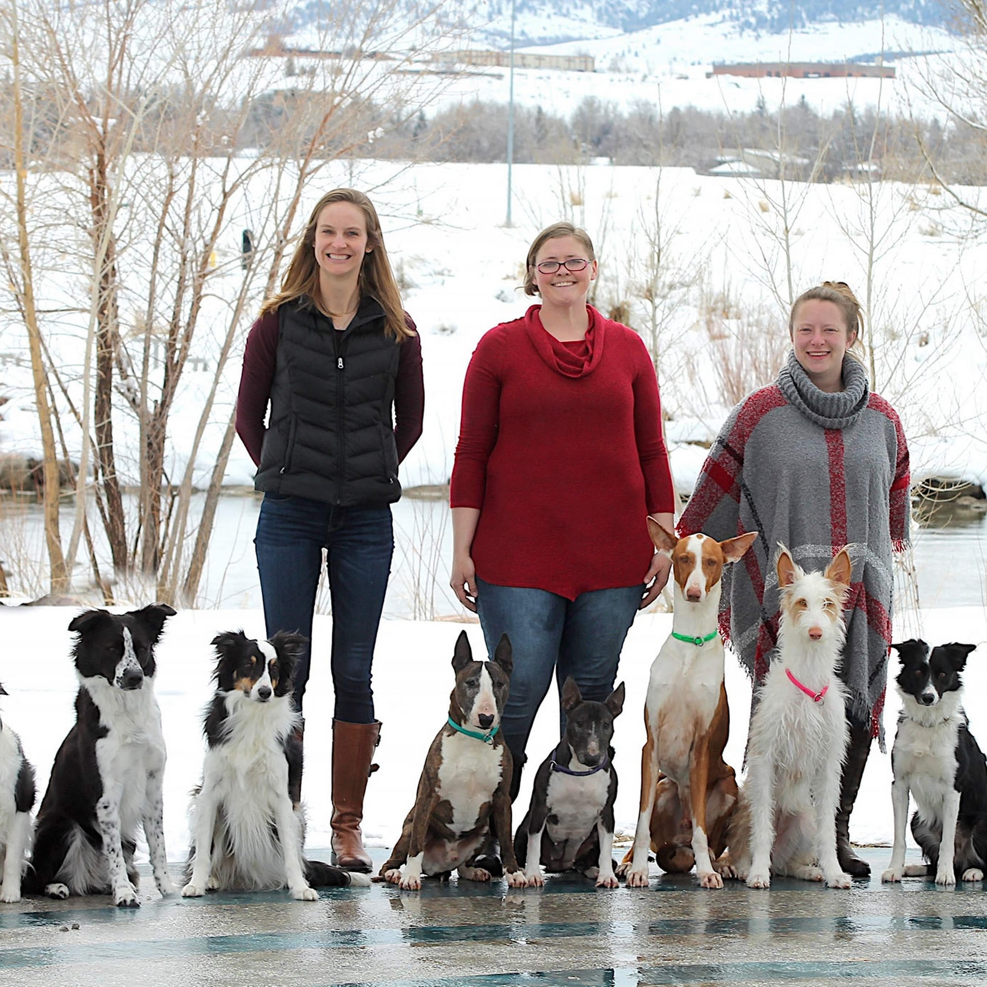 Casper Elite K9 Casper