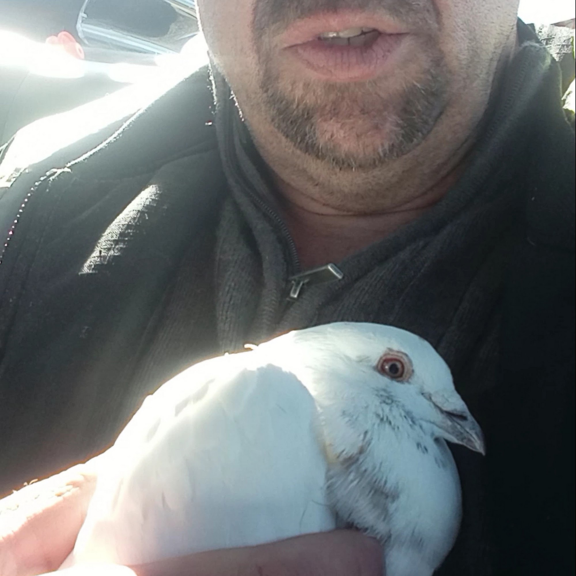 Cheyenne Pet Clinic Cheyenne