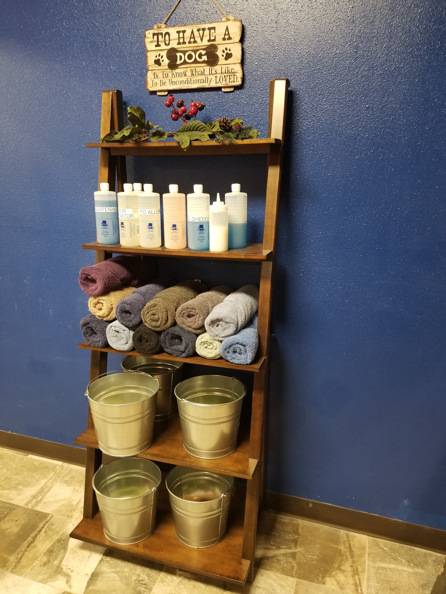 Tail Waggers and Wash Cheyenne