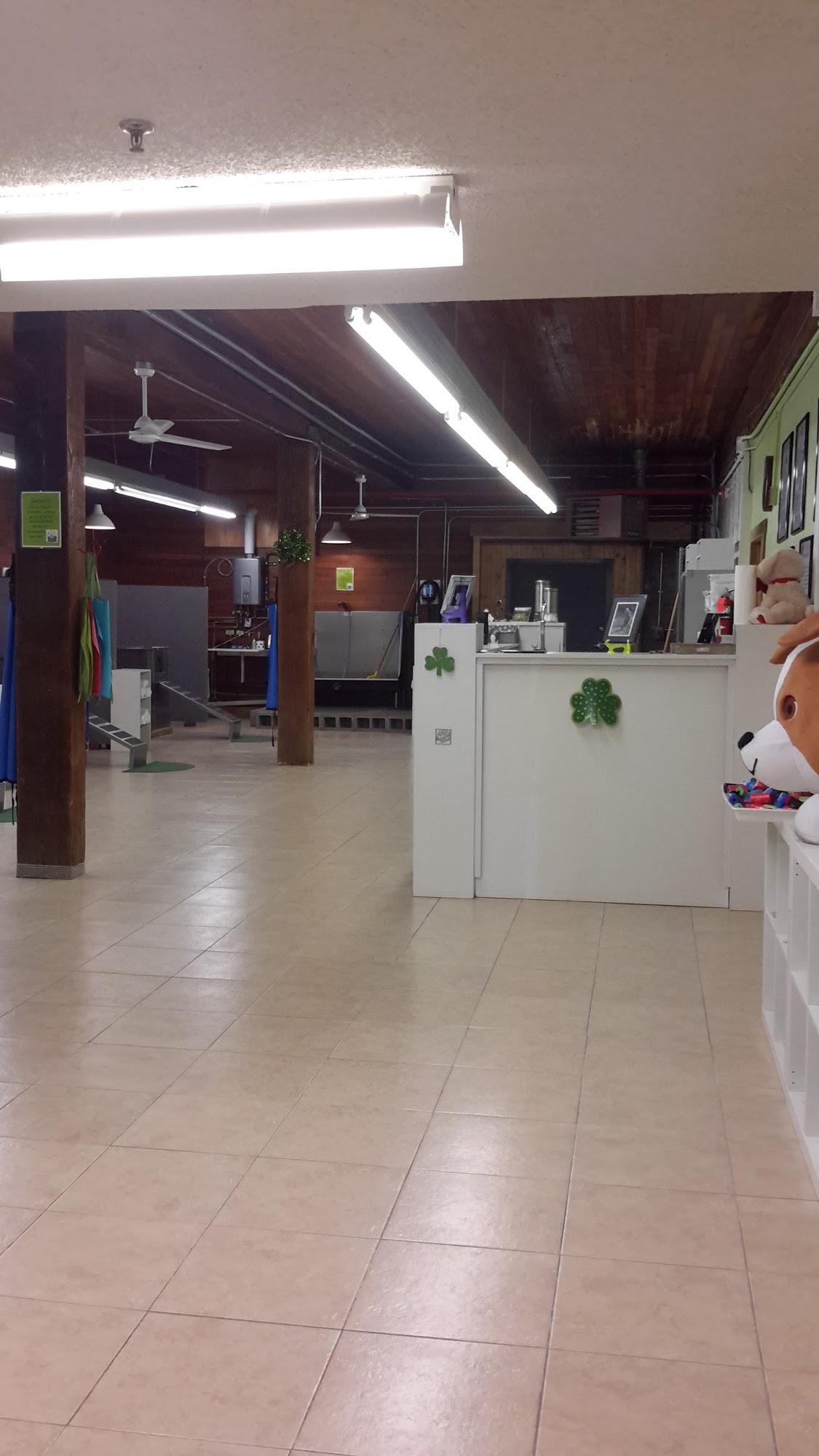 FURever Friends Pet Bathing and Grooming Cheyenne