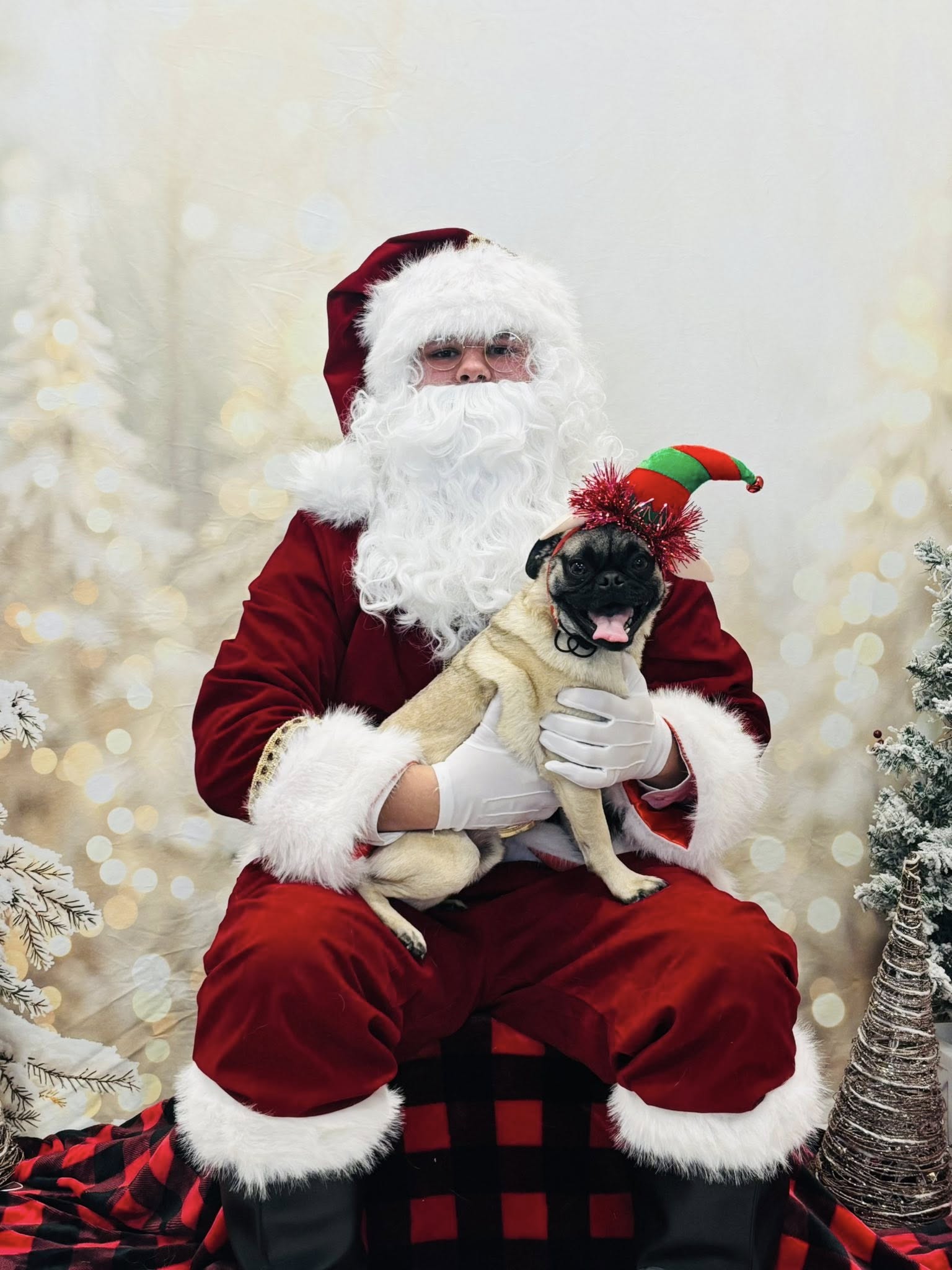 Red Ruff Inn - Doggie Daycare, Pet Hotel, Grooming & Training Cheyenne