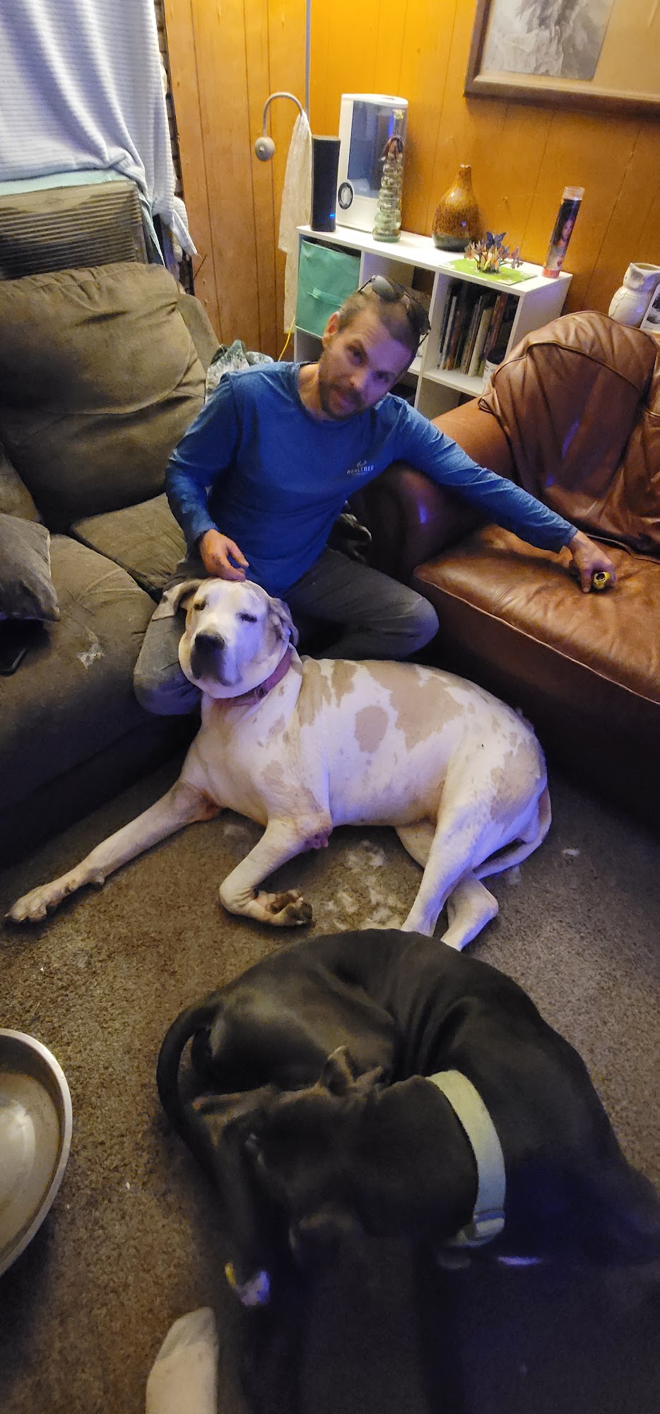 M Dean Smylie, DVM Advanced Animal Care LLC Douglas