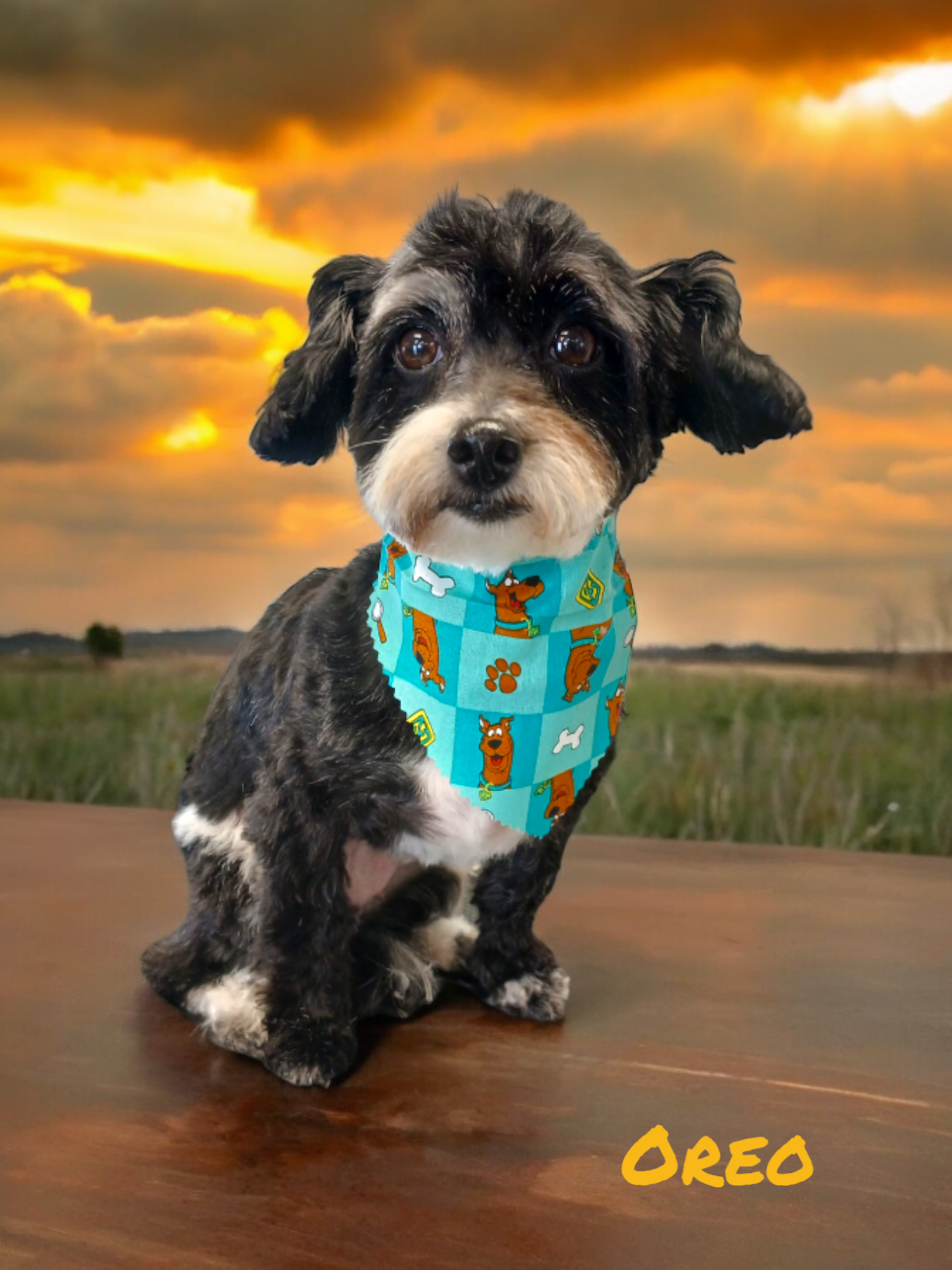 All Gods Creatures Douglas