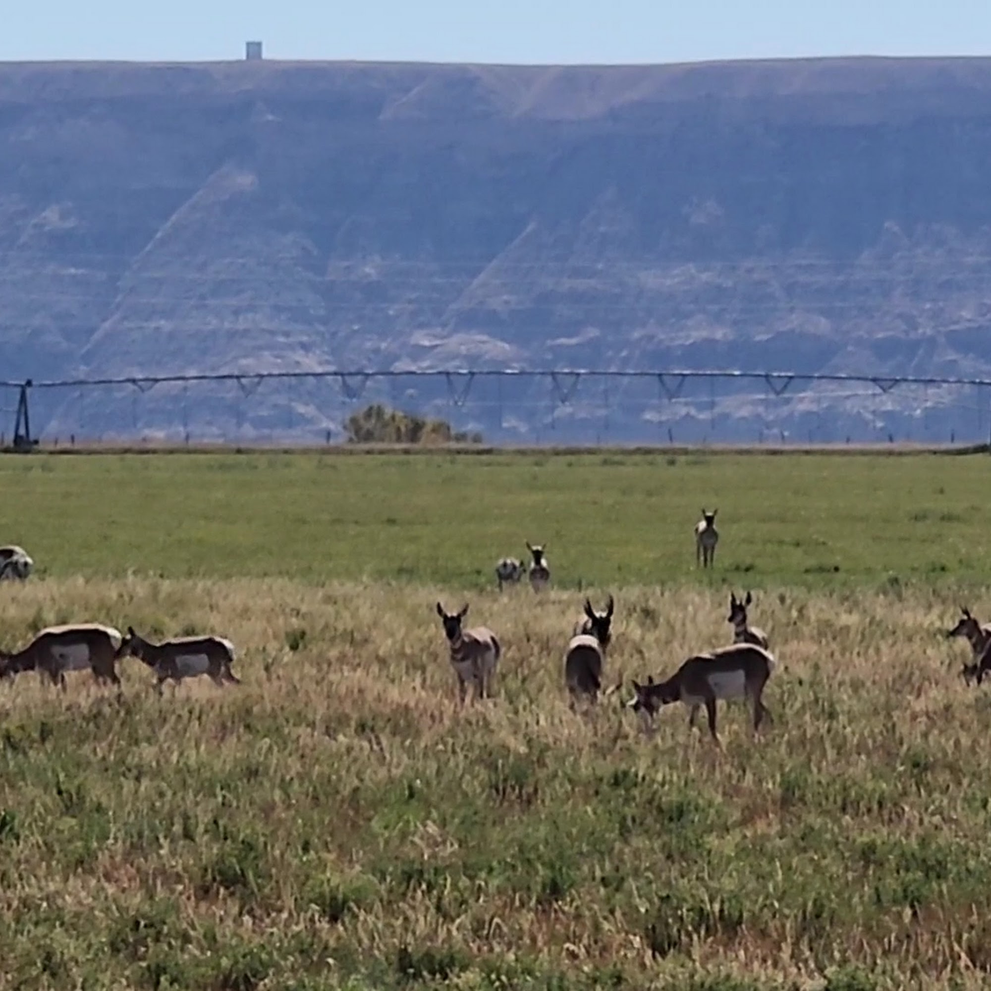 Rustic Pine Tavern Dubois