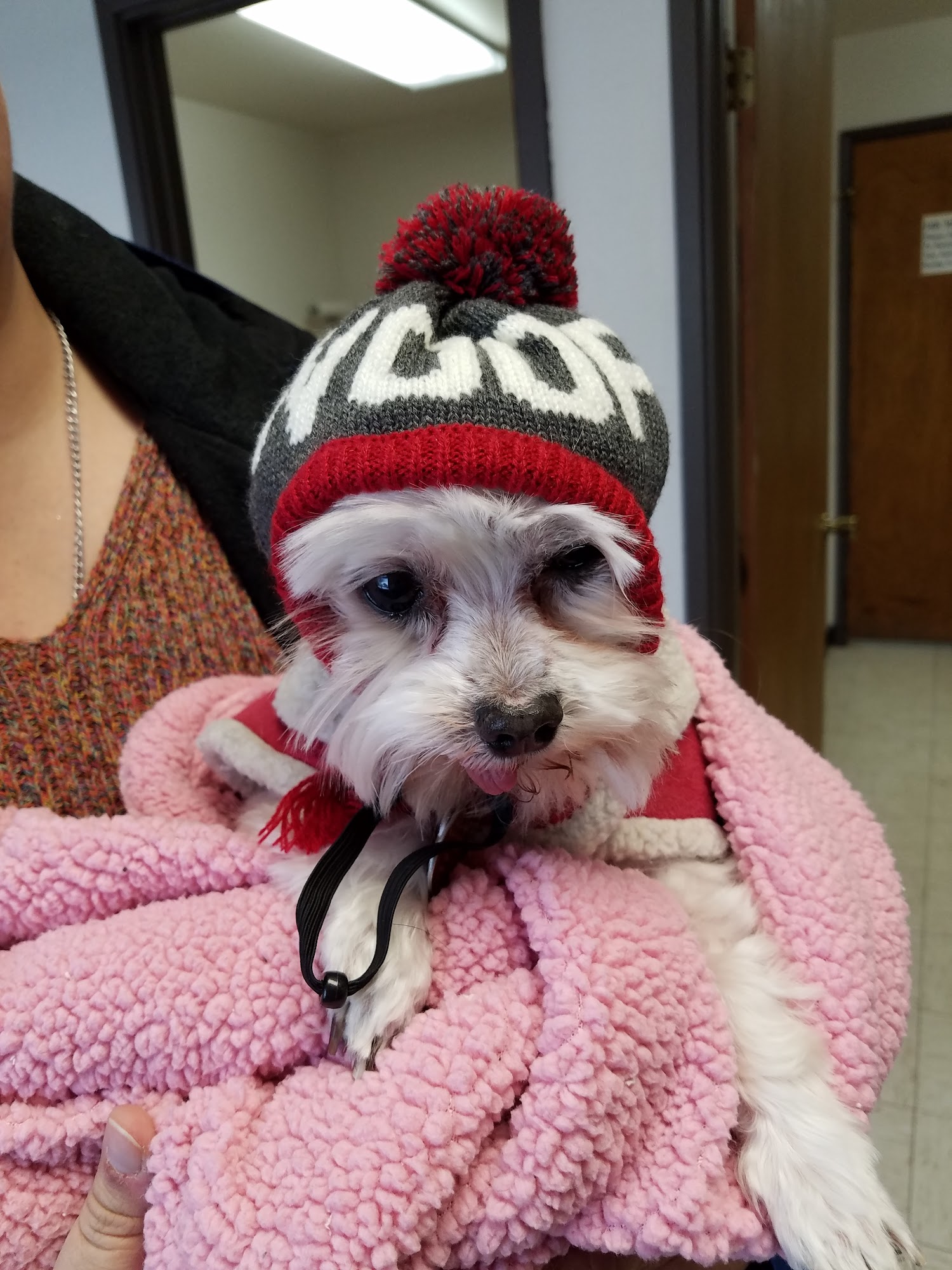 Bear River Veterinary Clinic Evanston