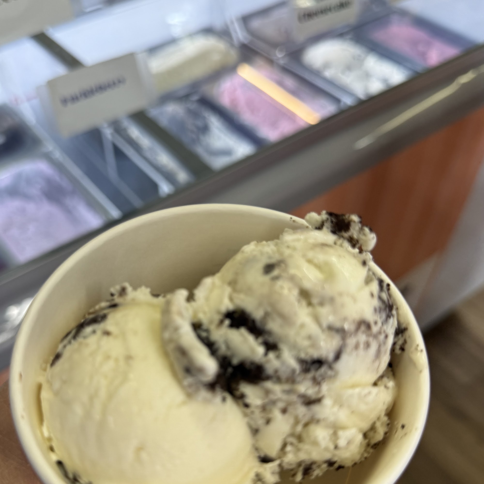 Dad’s Ice Cream Evanston