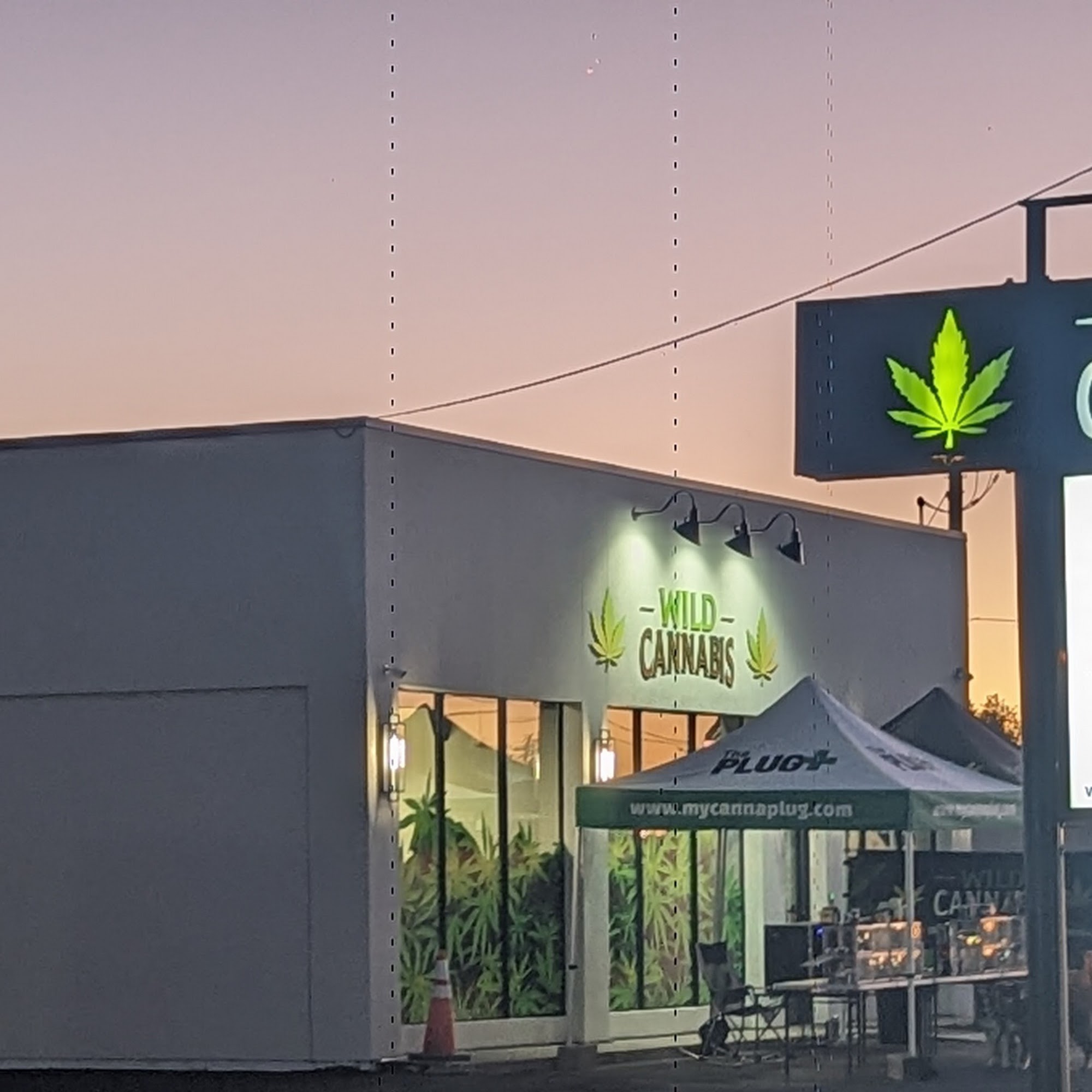 Wild Cannabis Evanston