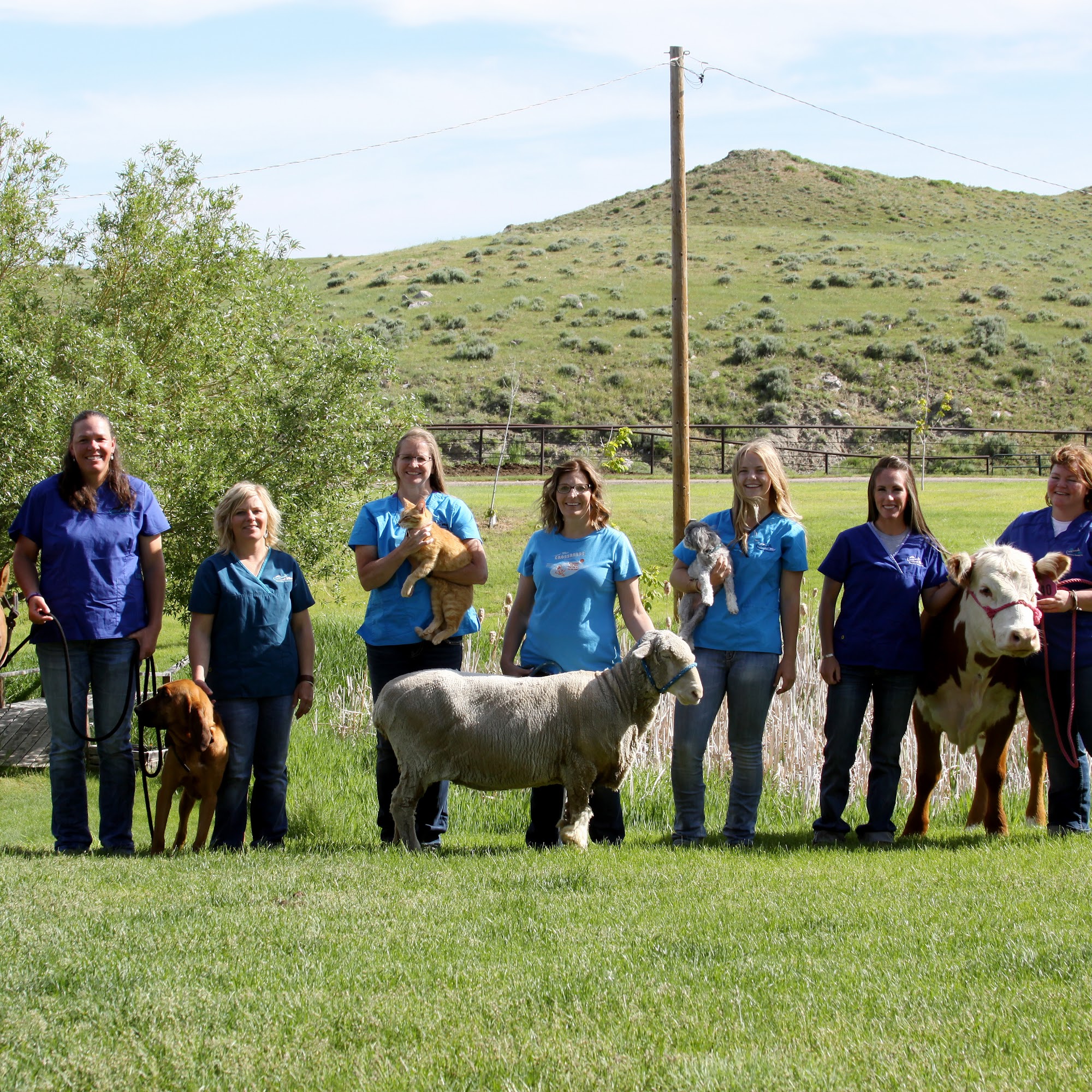 Crossroads Veterinary Services Glenrock