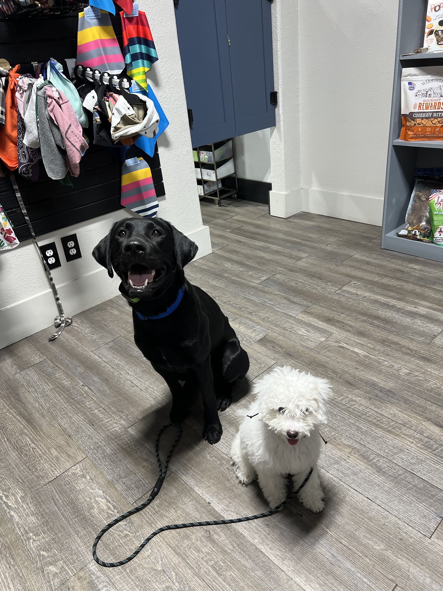 Unleashed Dog Bakery Glenrock