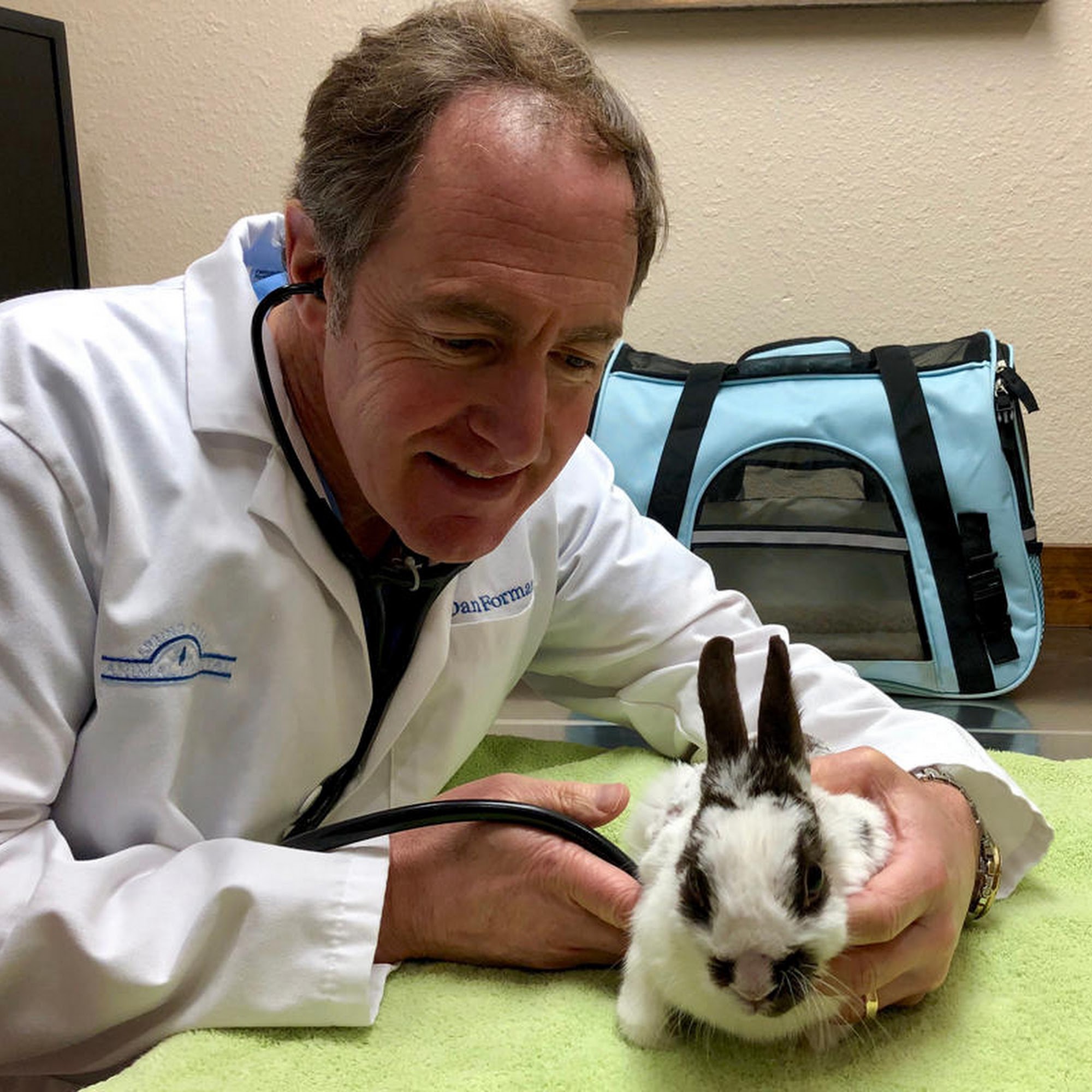 VCA Spring Creek Animal Hospital Jackson