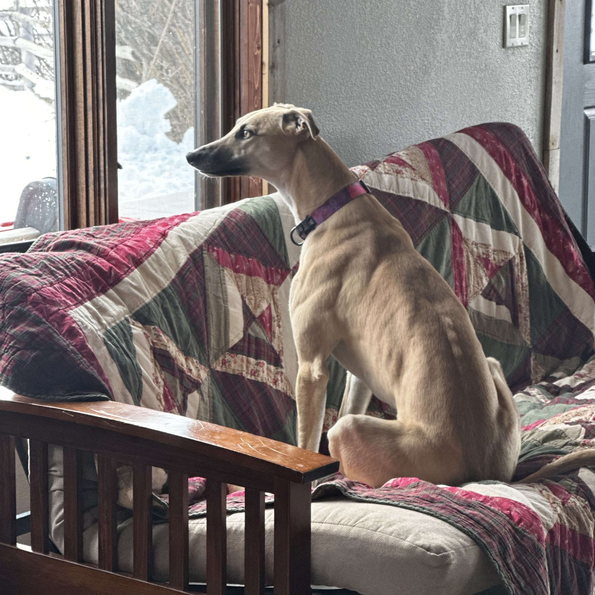 Lander Valley Animal Hospital Lander