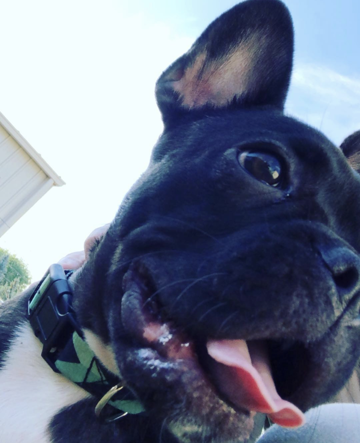 Lander Valley Animal Hospital Lander