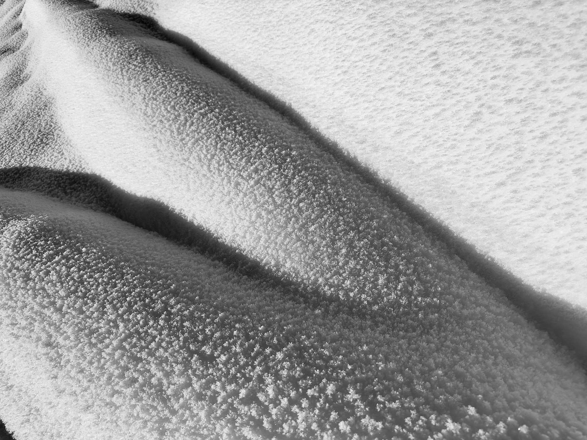 Bar-Bar-A's Art Gallery