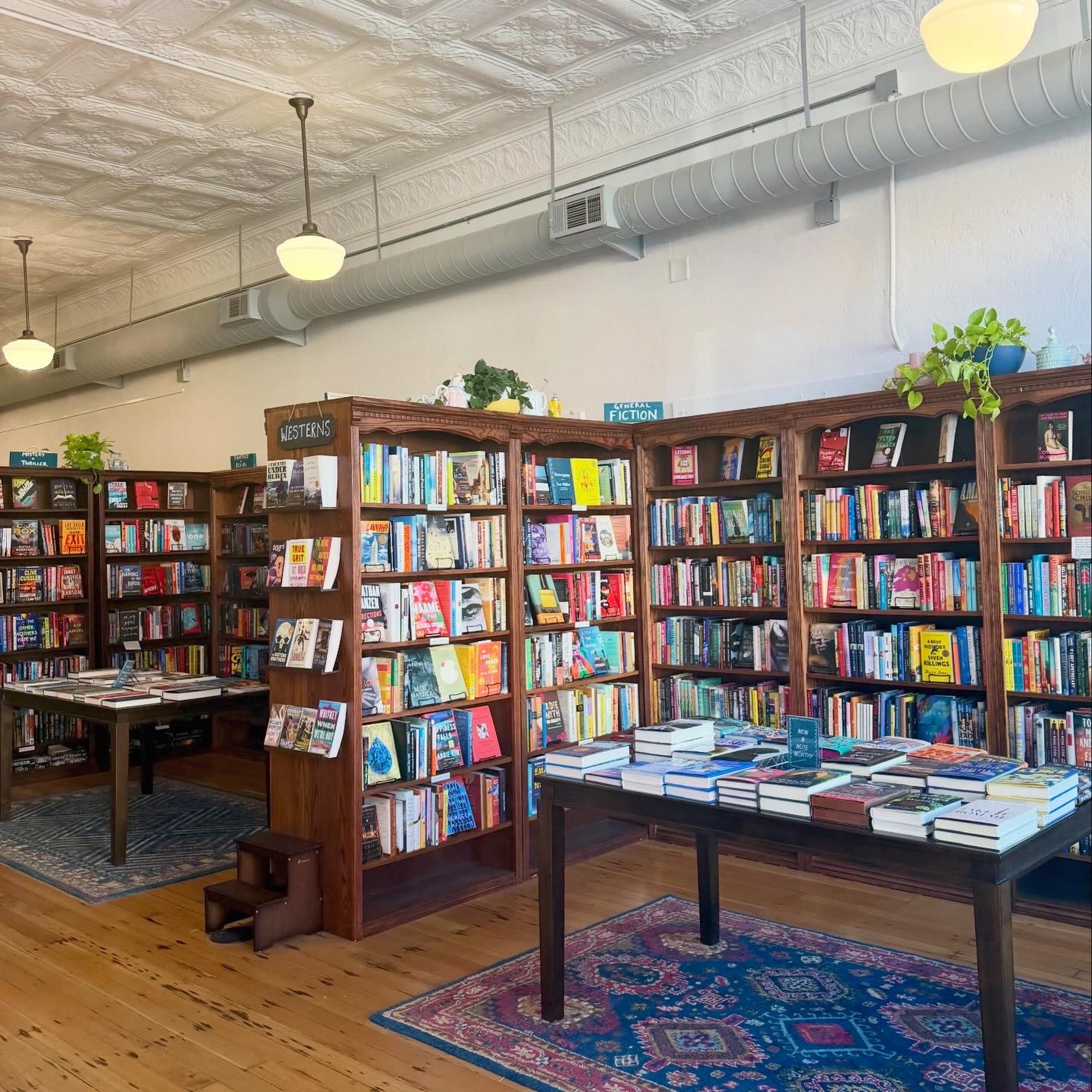 Indie Darling Bookstore Lander