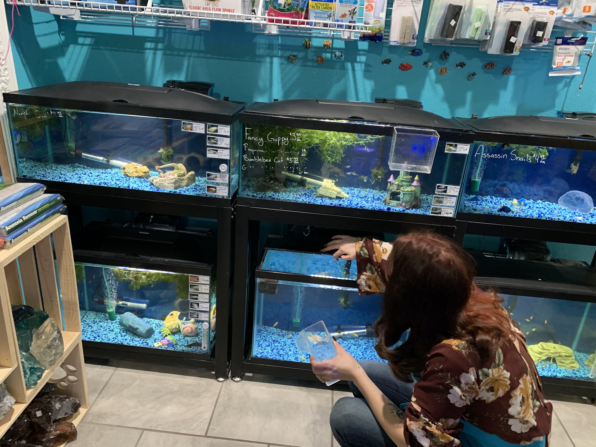 Windy City Pet Store Laramie