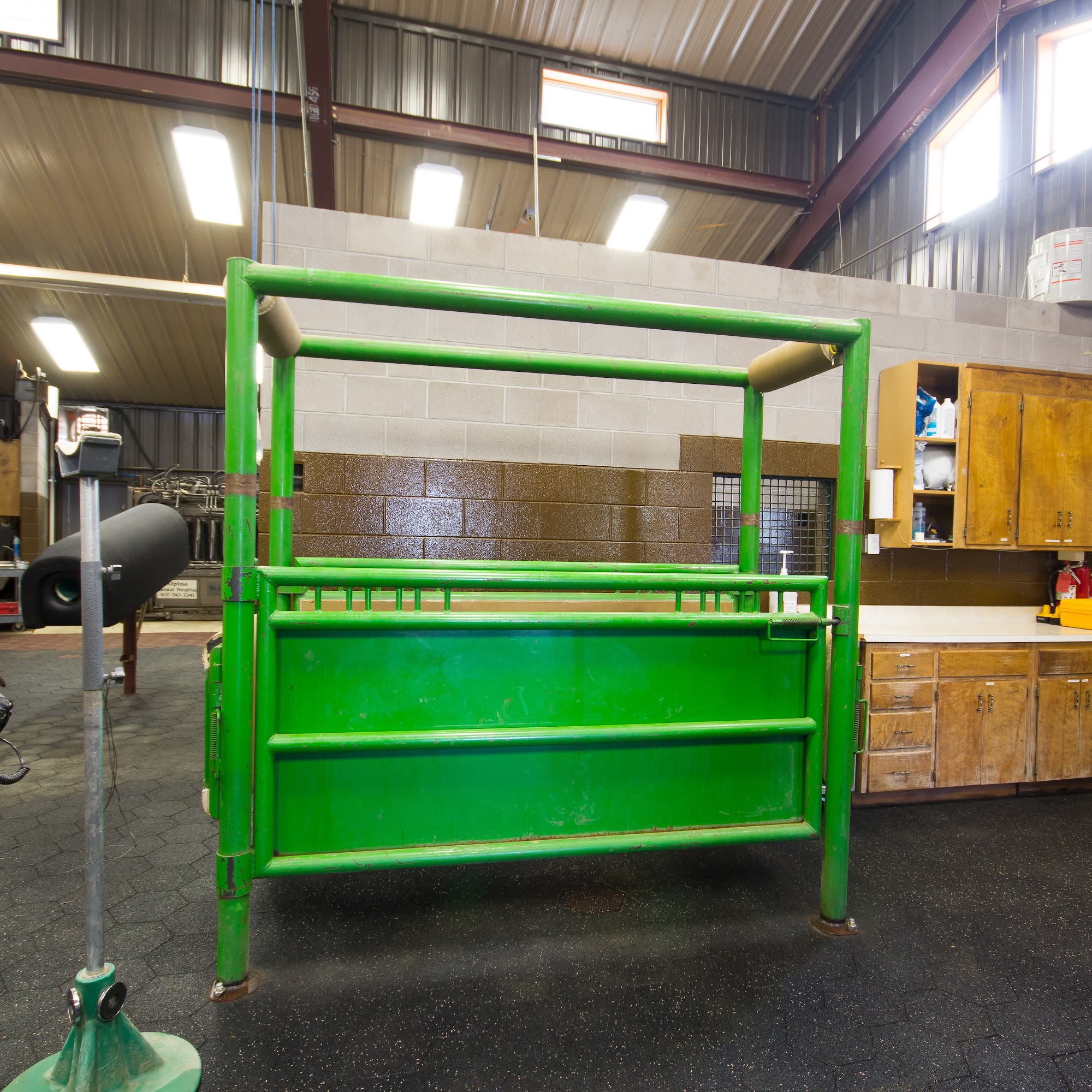 Equine Center @ Alpine Animal Hosptial Laramie