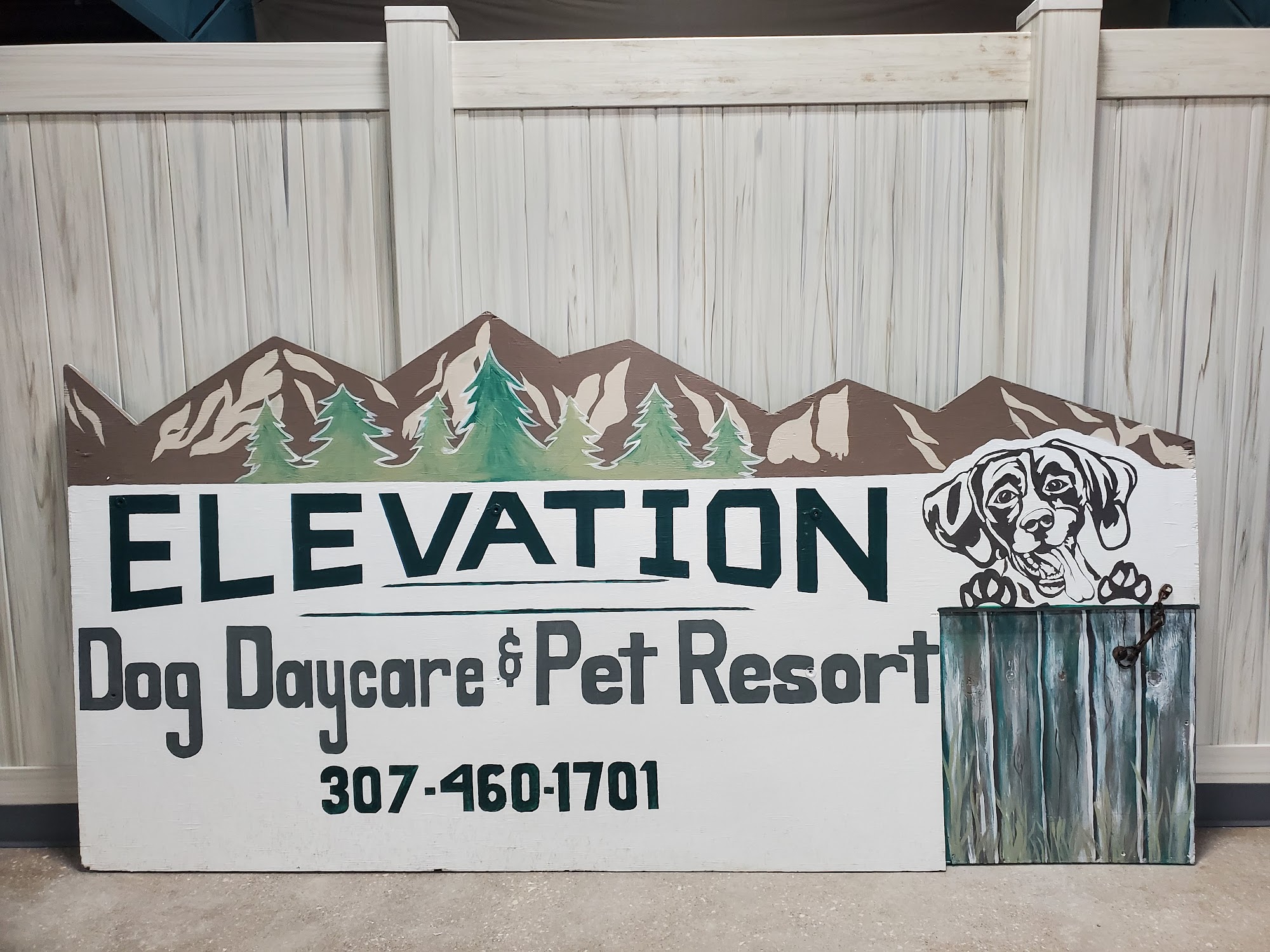 Elevation Dog Daycare & Pet Resort Laramie