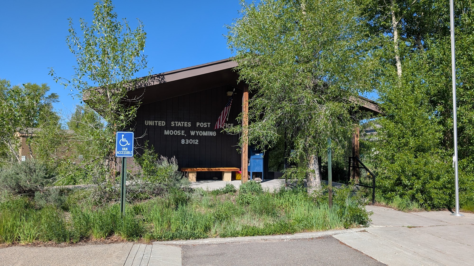 United States Postal Service Moose