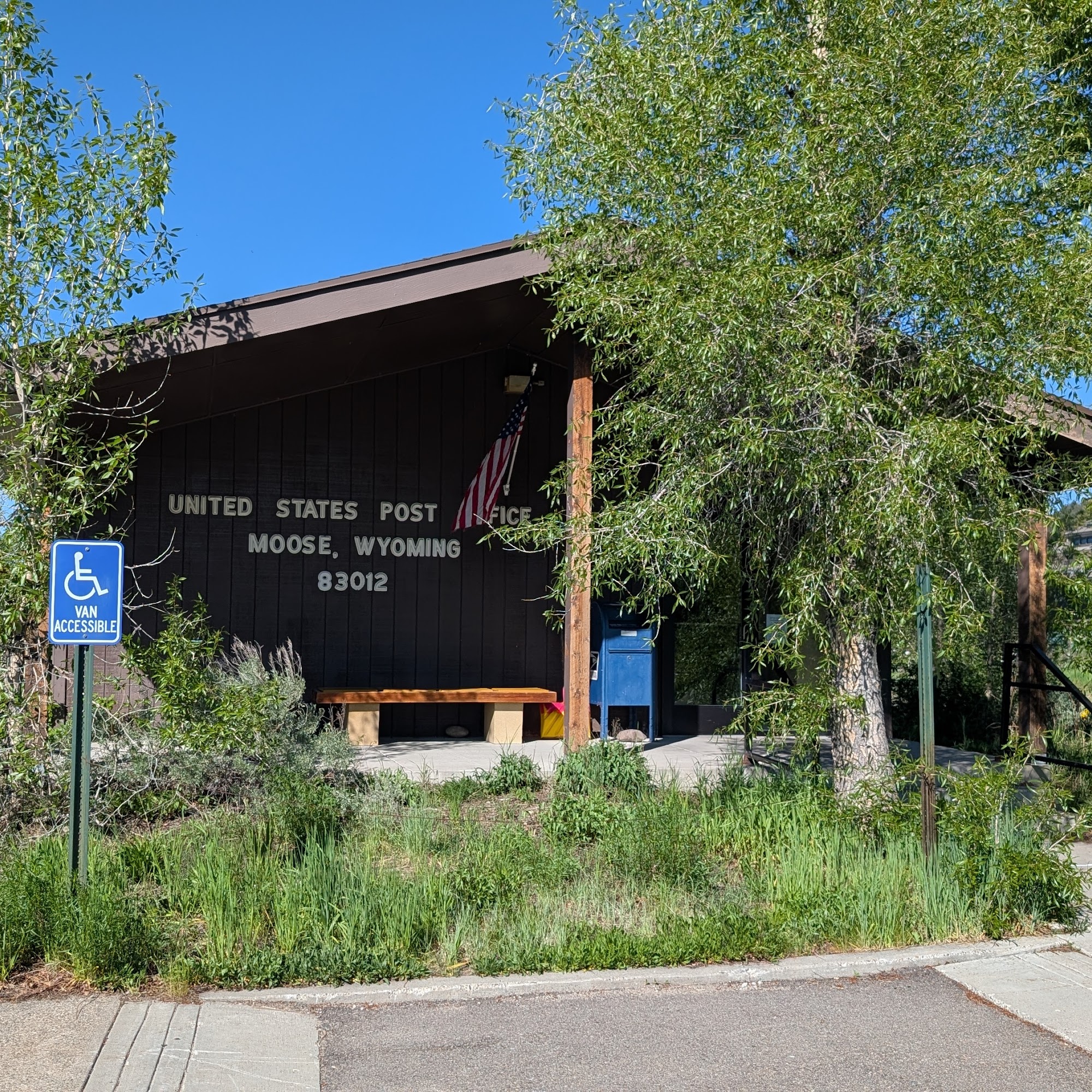 United States Postal Service Moose