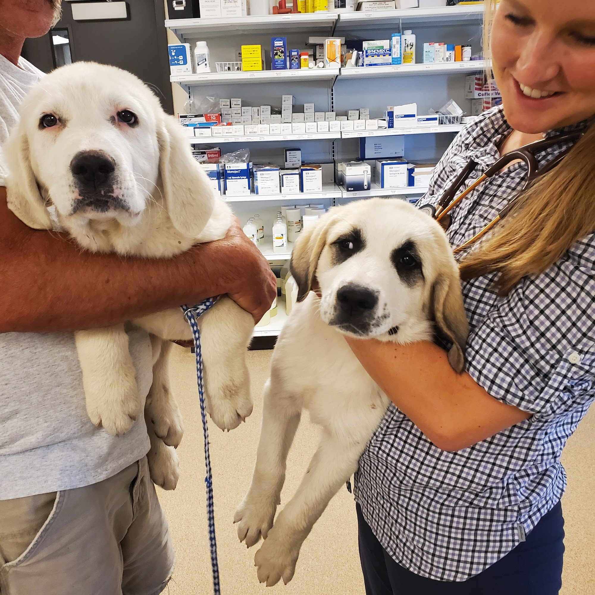 Bluffs Veterinary Clinic Pine Bluffs
