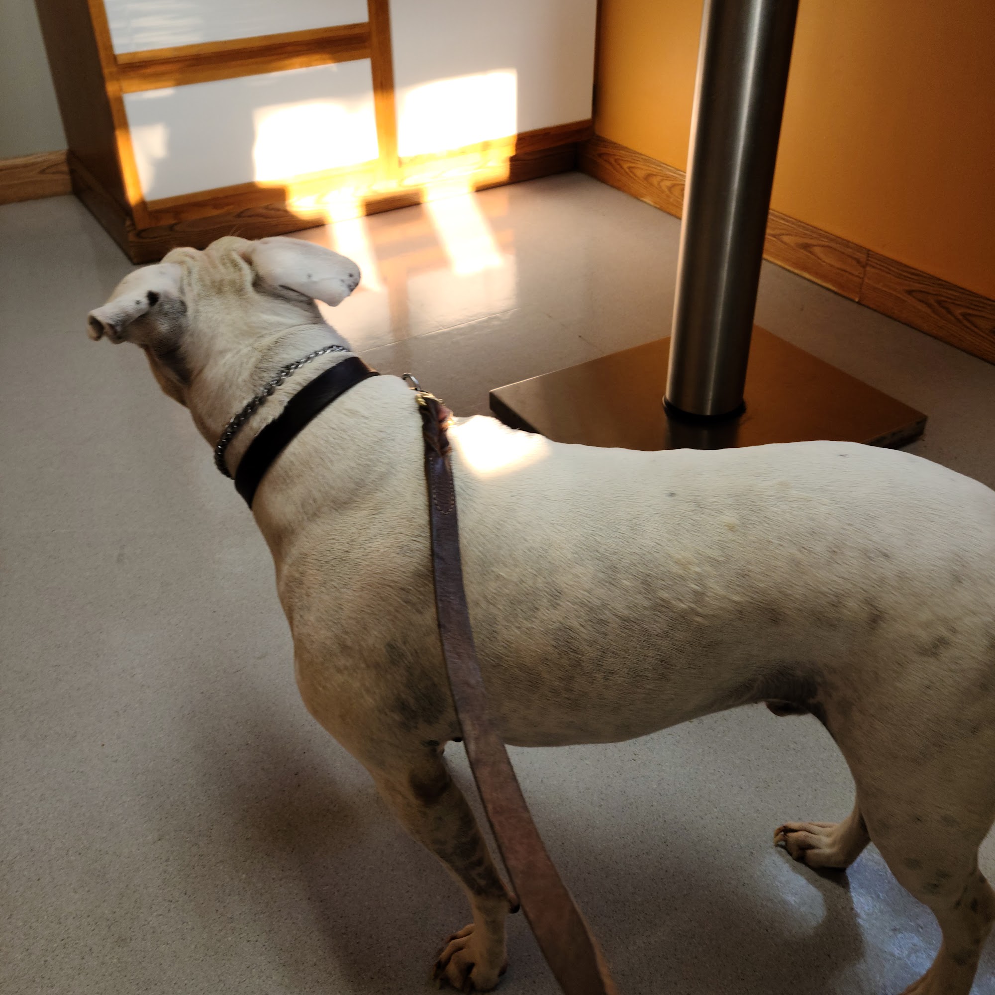 Heart Mountain Animal Health Powell